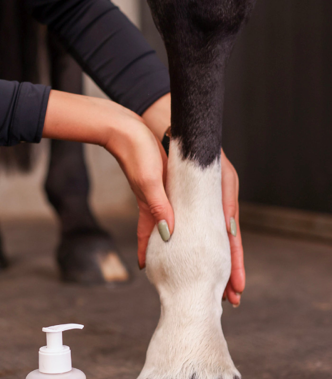 Confort & locomotion