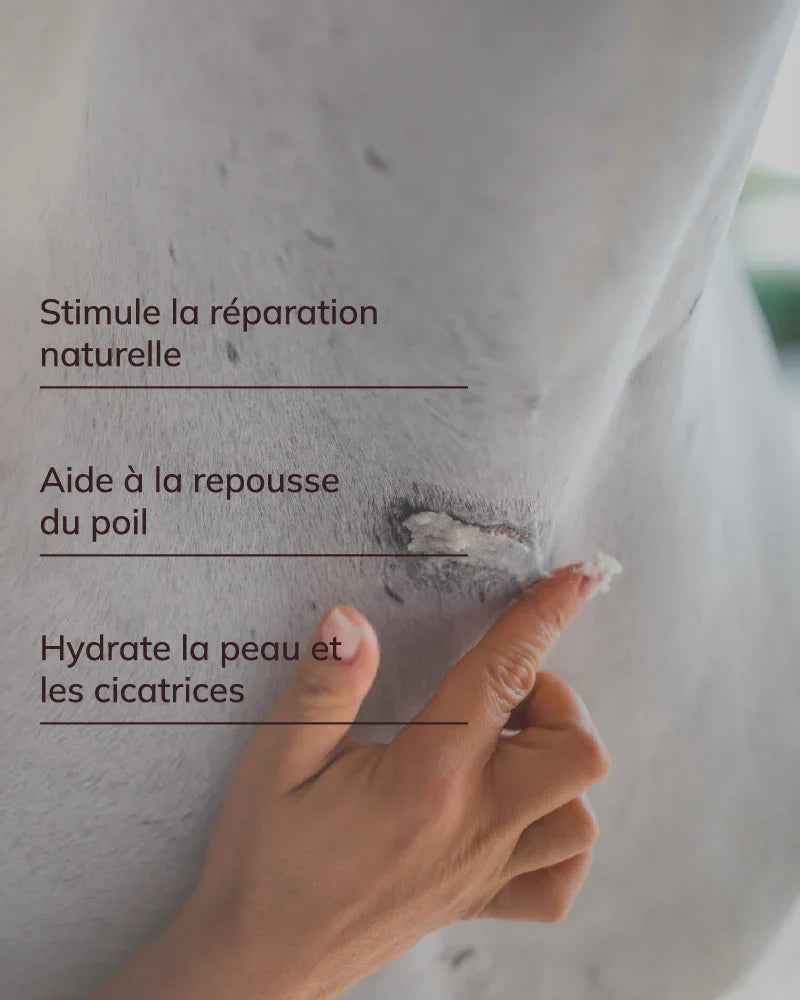 Baume réparateur cutané
