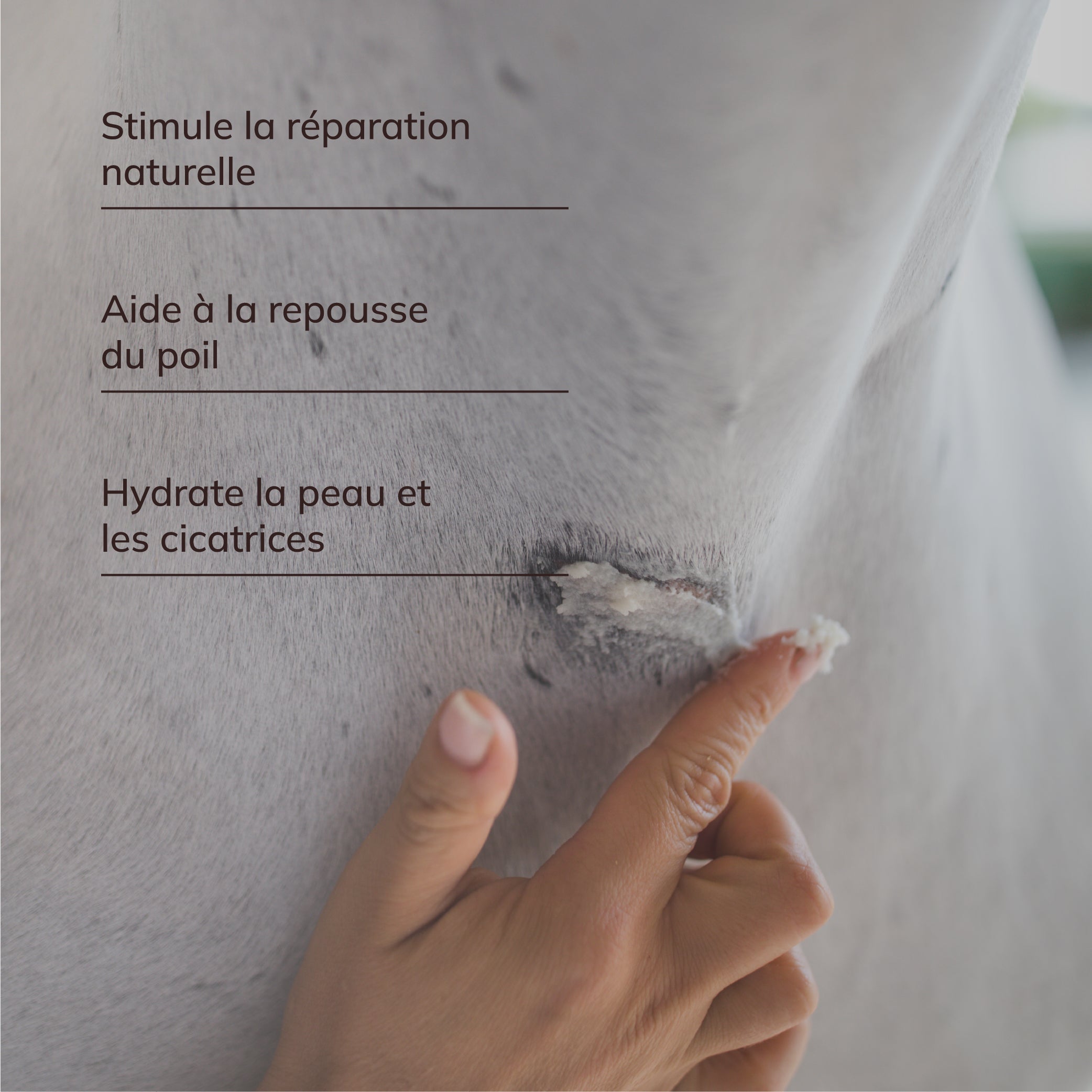 Baume réparateur cutané