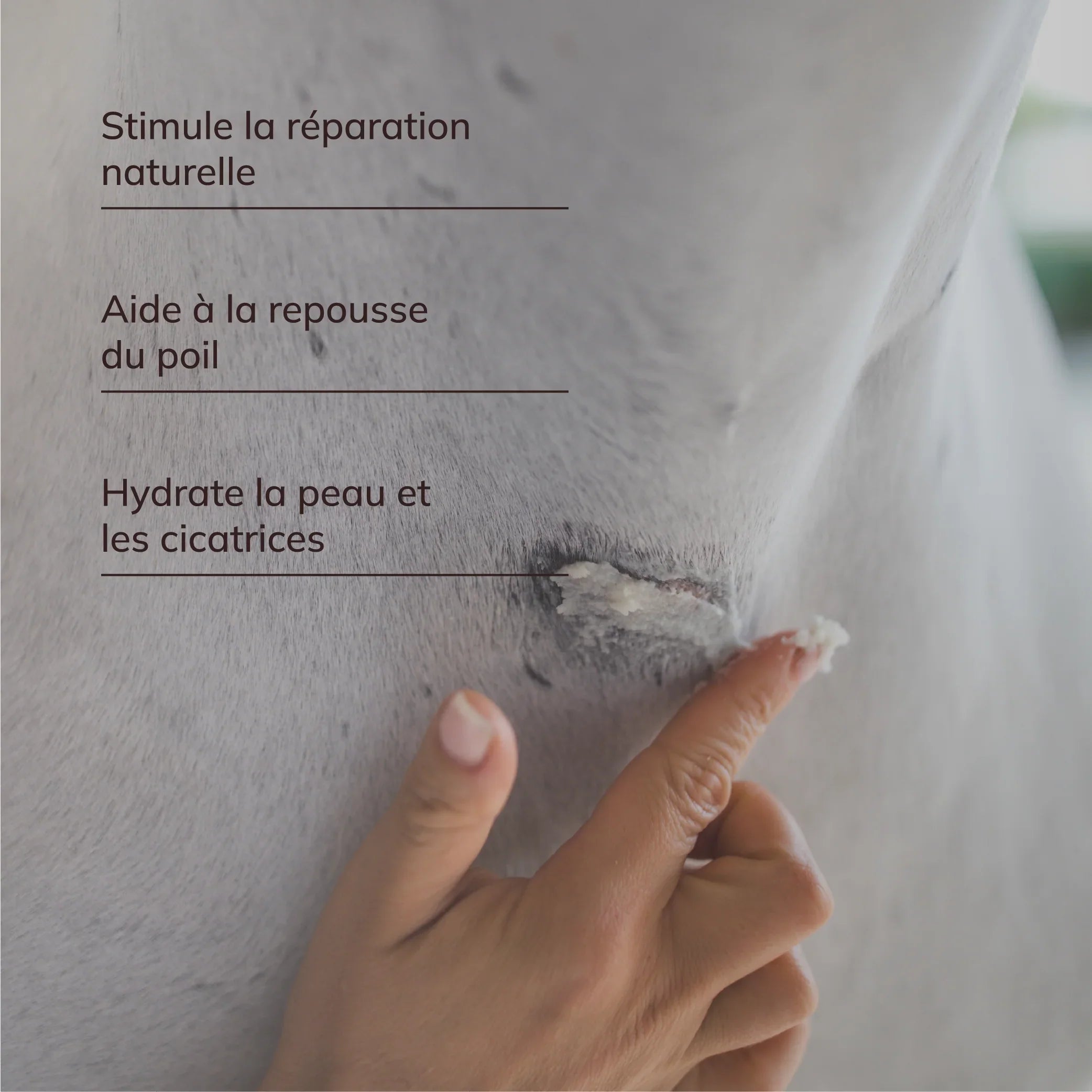 Baume réparateur cutané