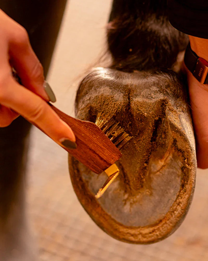 Cure pied fils de cuivre