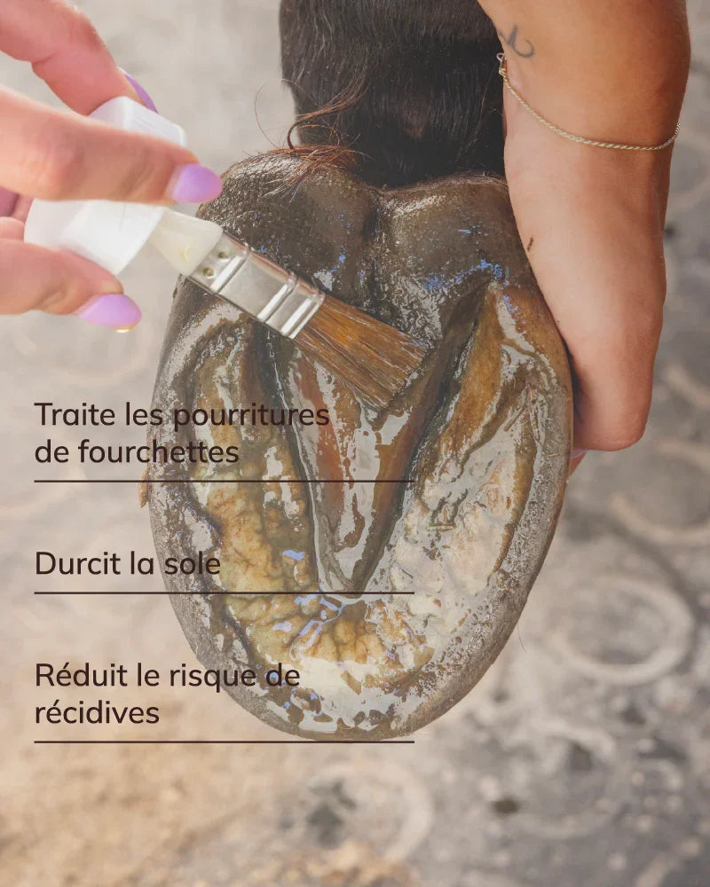 Soin sole et fourchette
