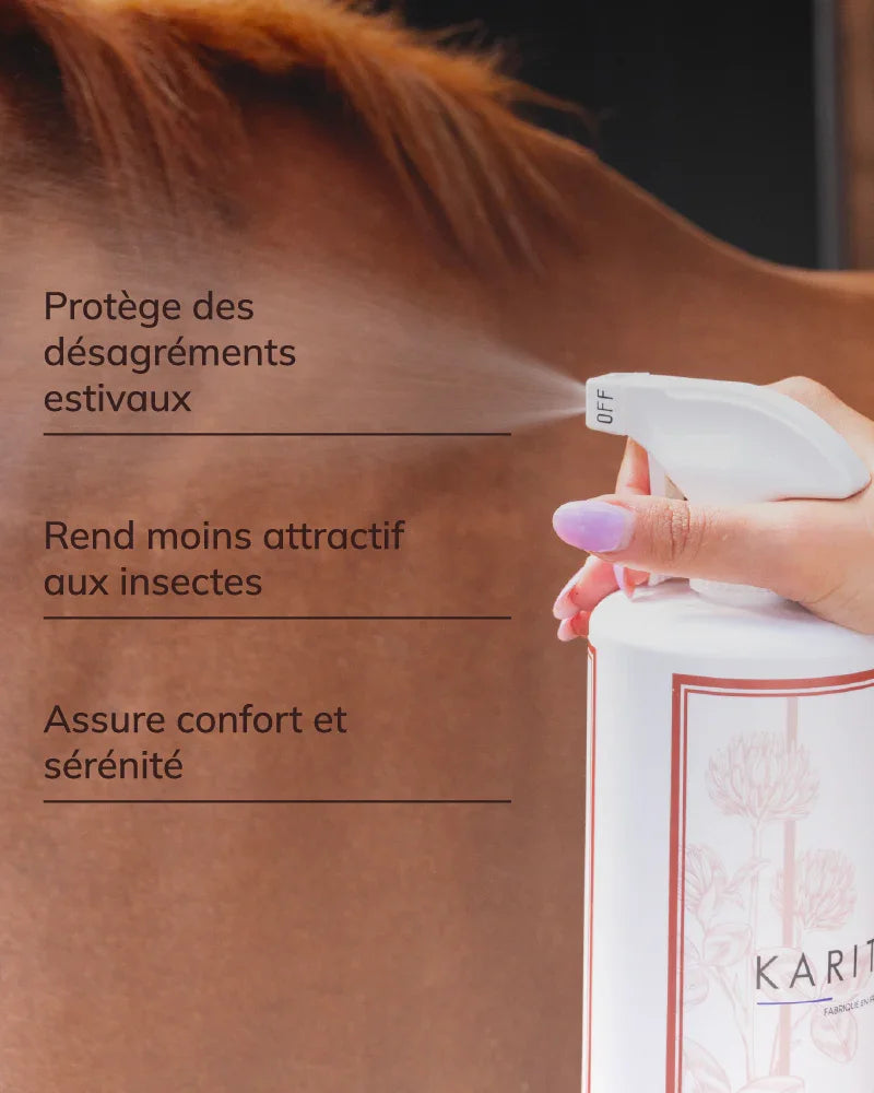Spray protecteur estival
