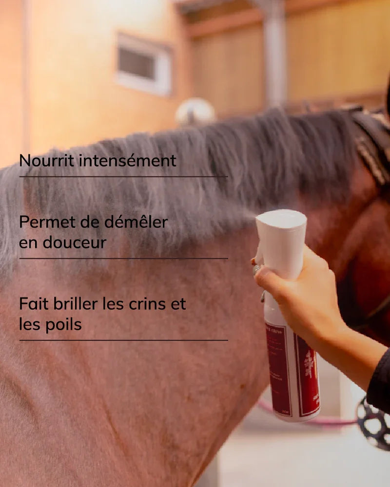 Soins démêlant pour crins
