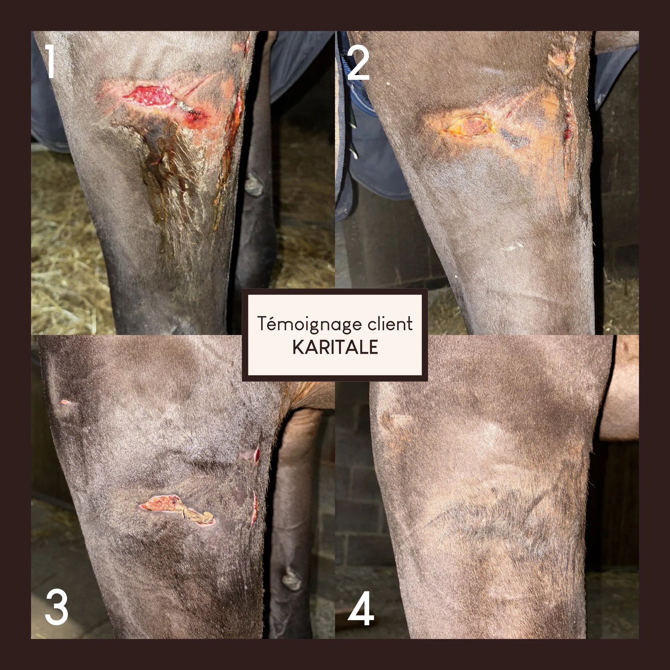 Baume réparateur cutané