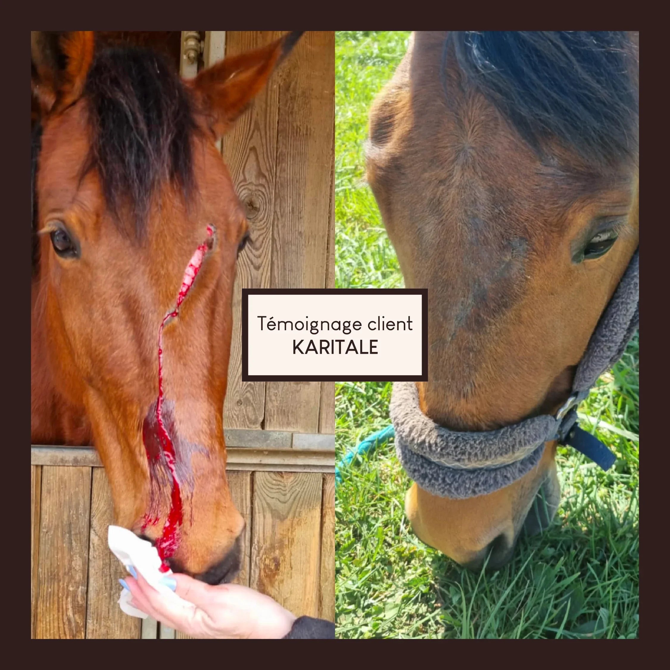 Baume réparateur cutané