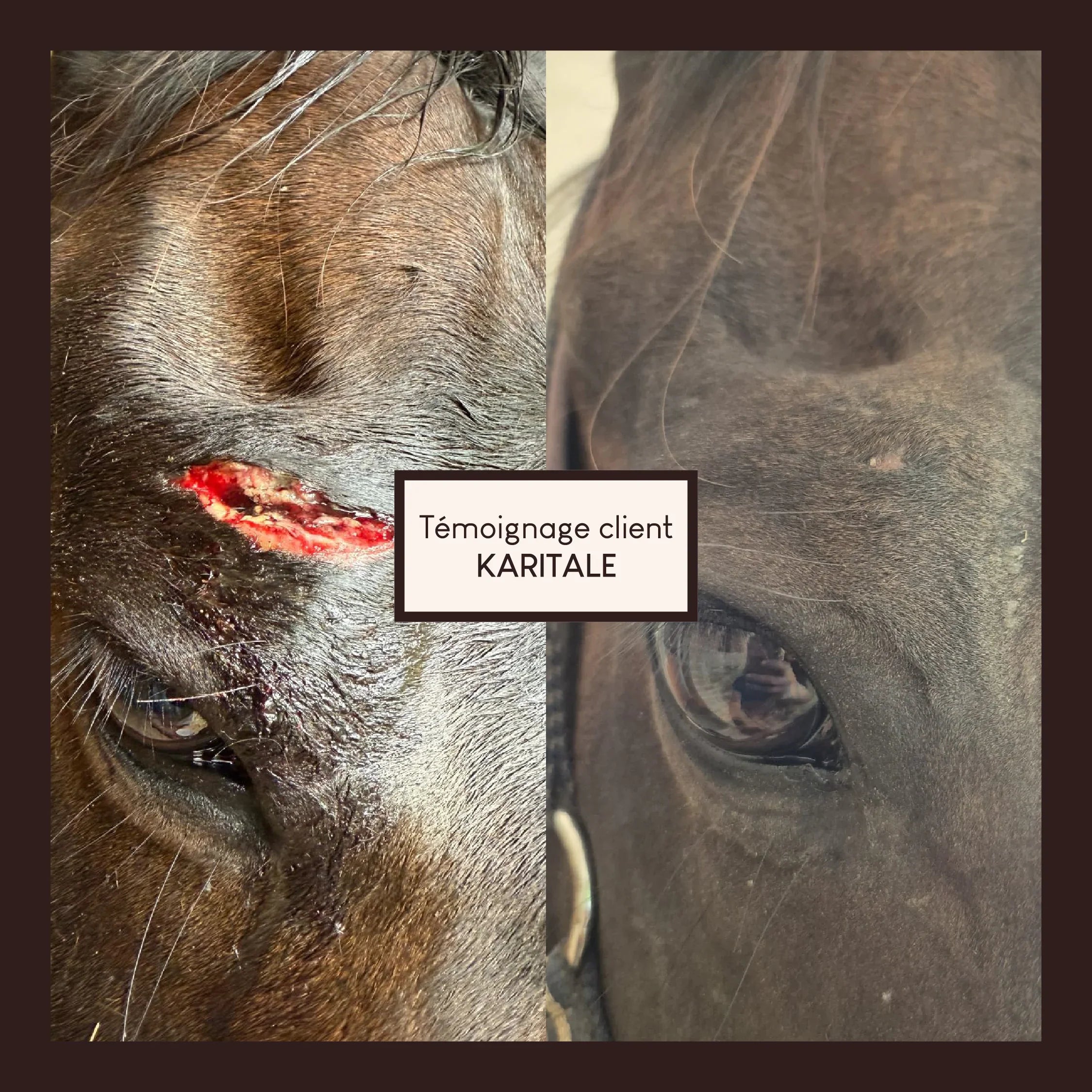 Baume réparateur cutané