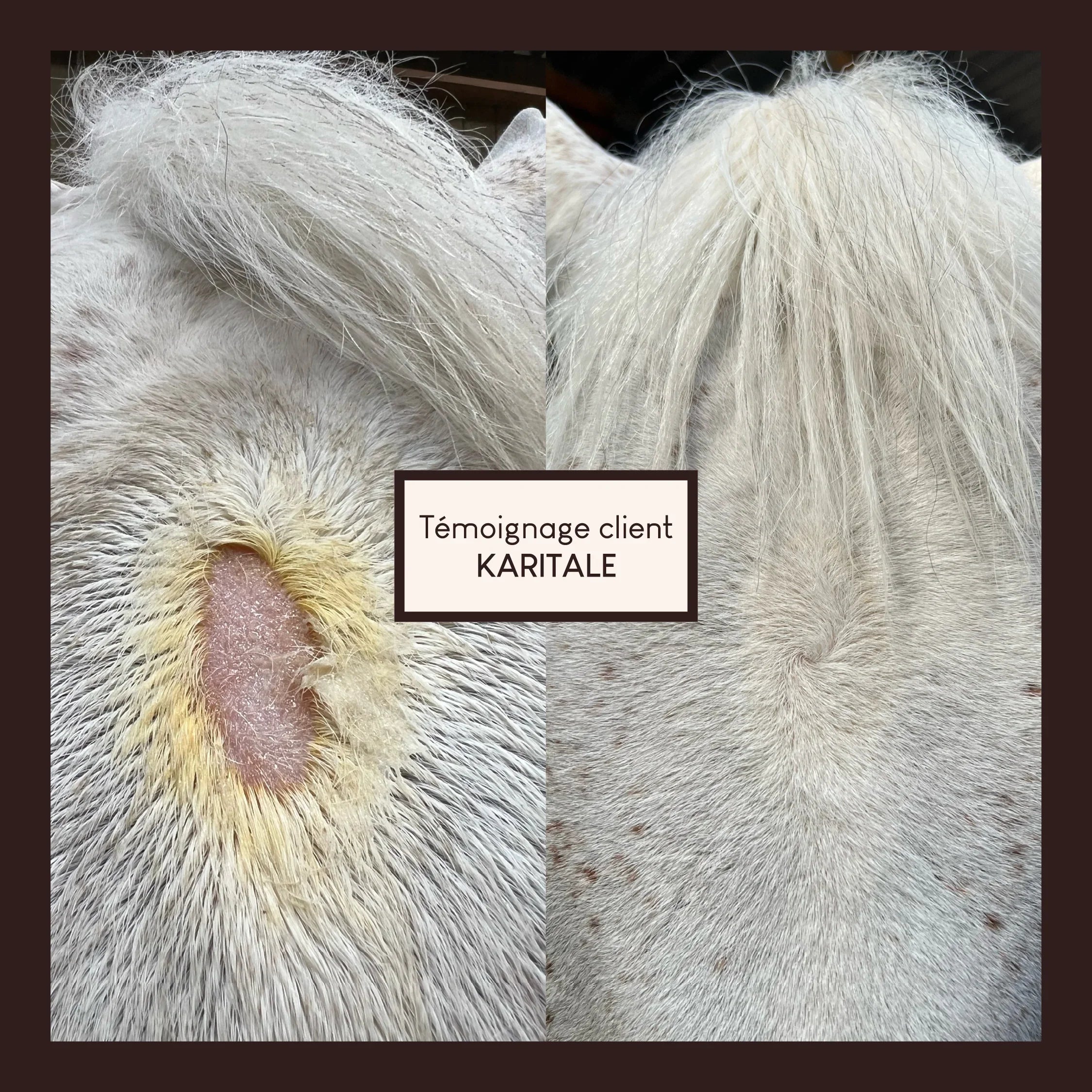 Baume réparateur cutané