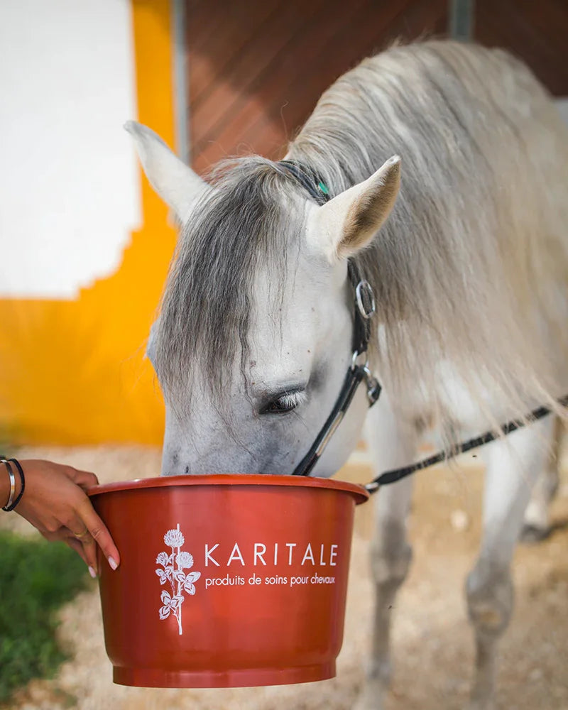 Seau fabriqué en France