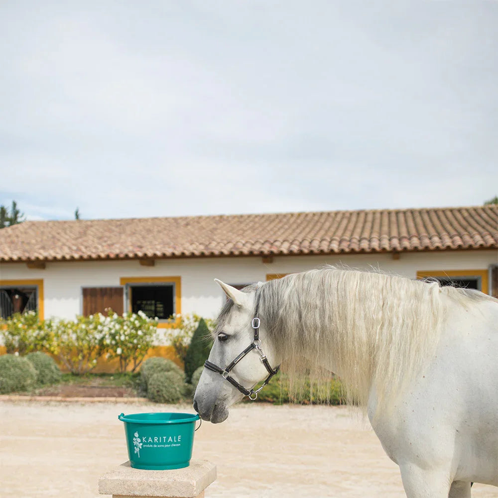 Seau fabriqué en France