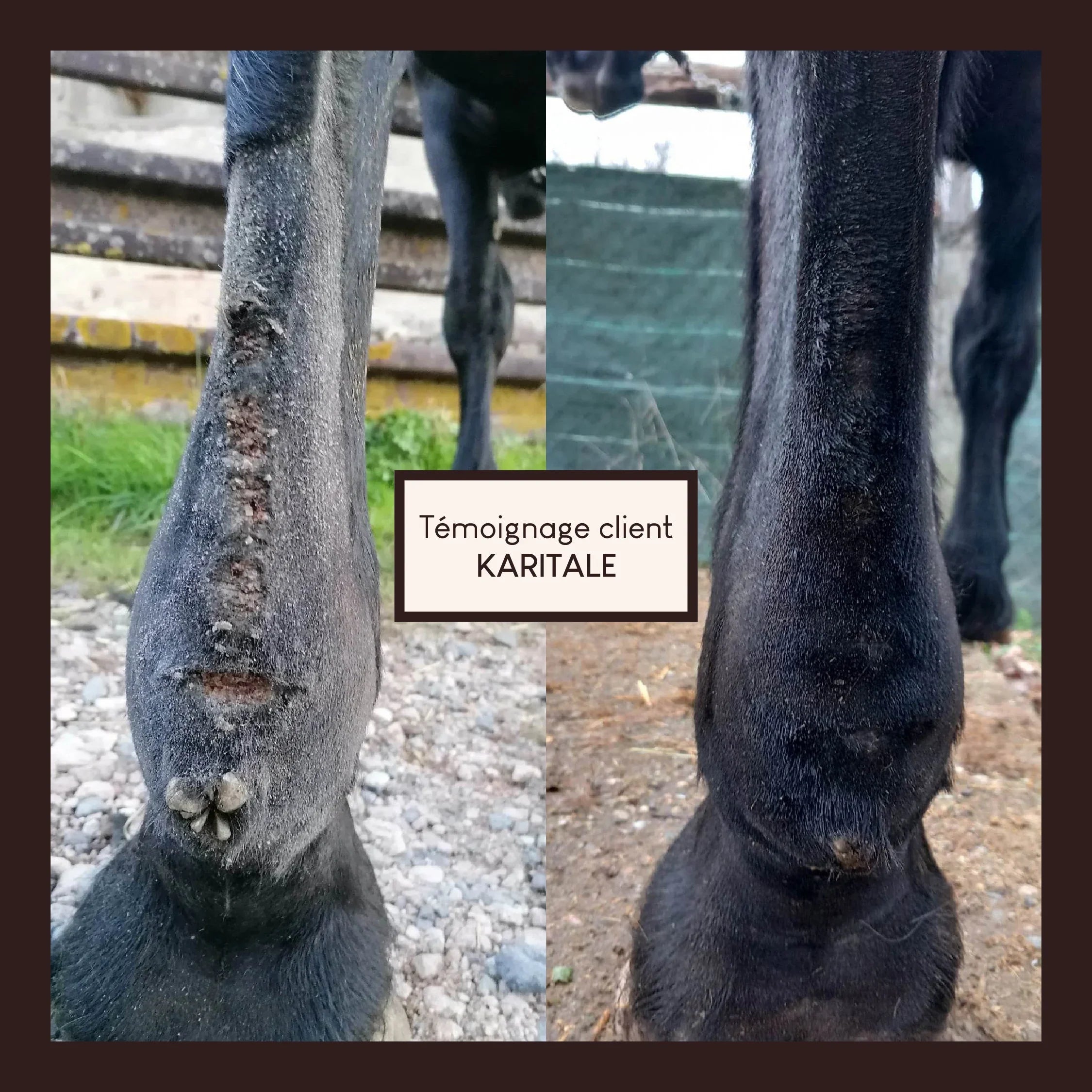 Vaseline végétale au soufre