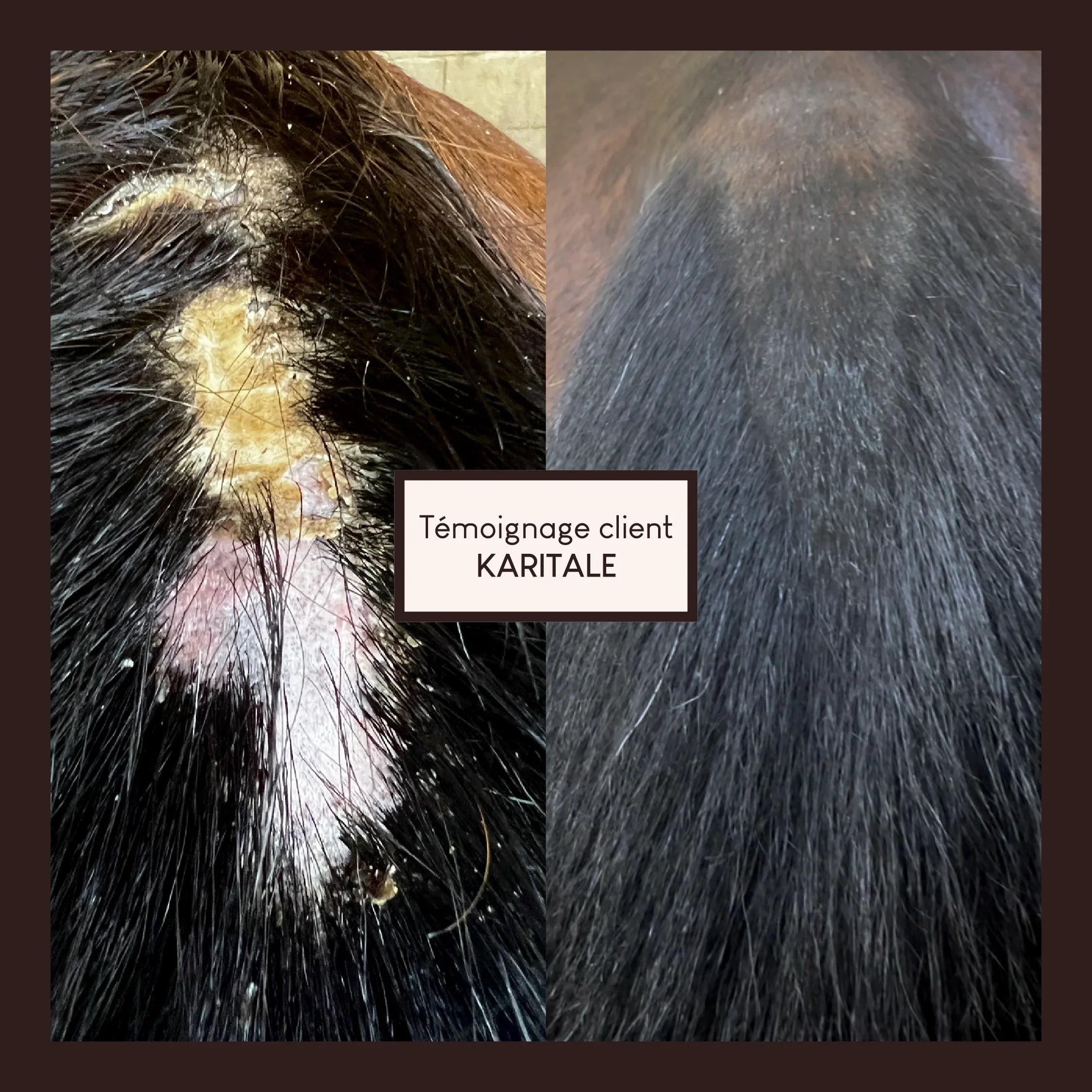 Vaseline végétale au soufre