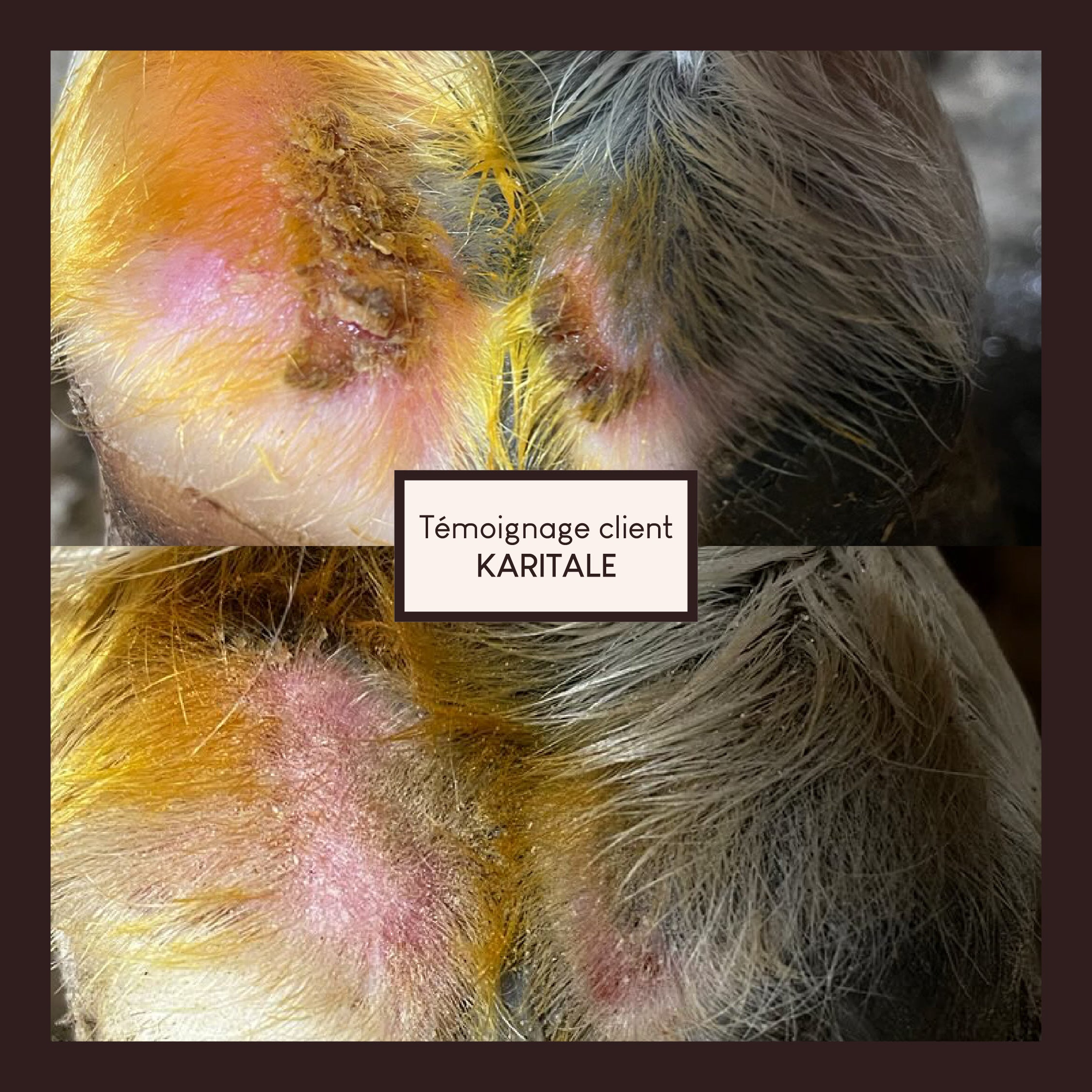 Vaseline végétale au soufre