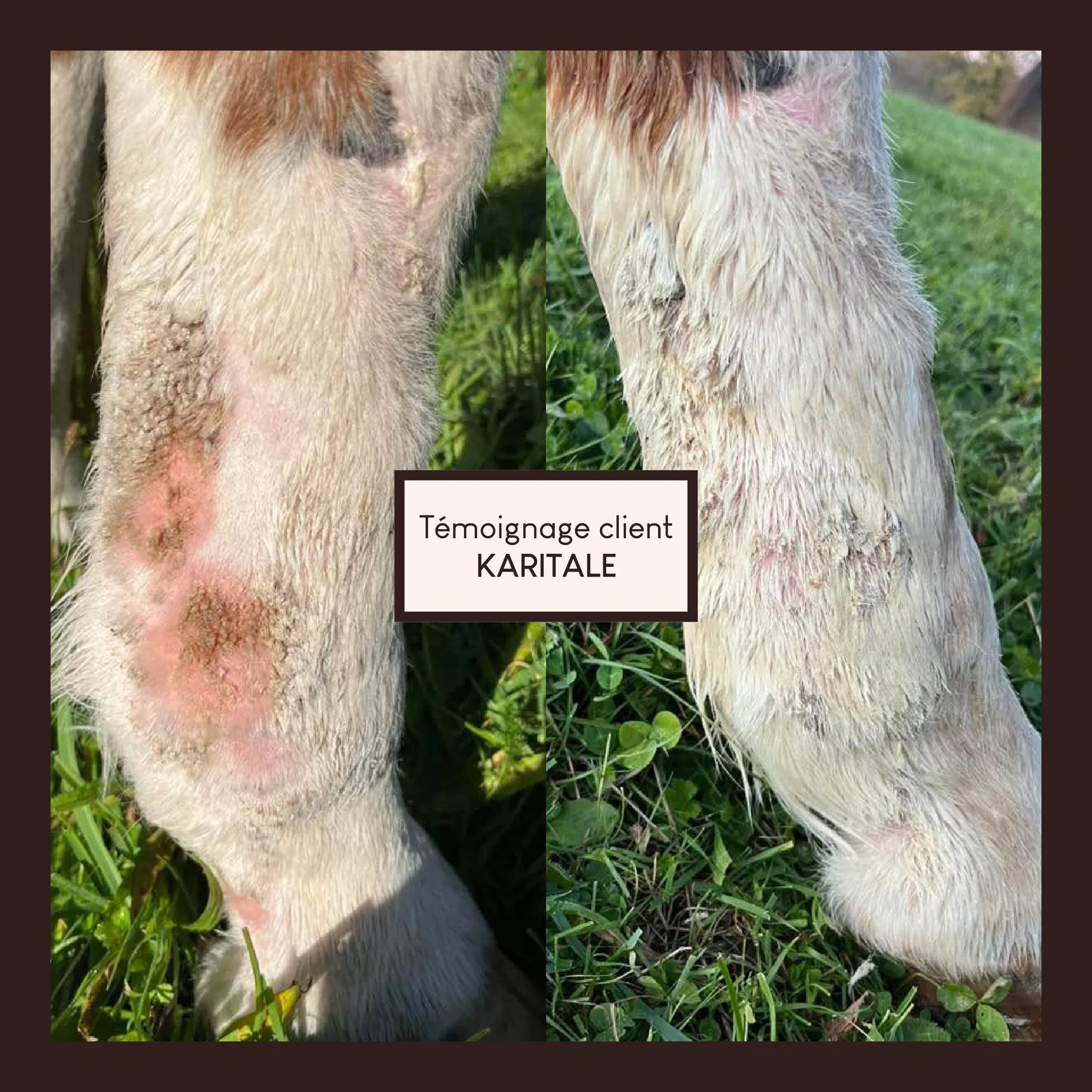 Vaseline végétale au soufre