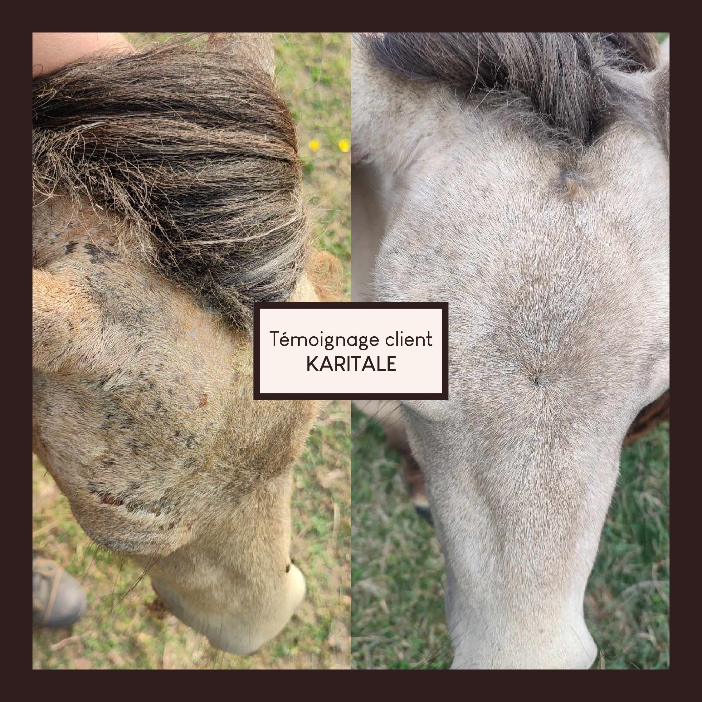 Vaseline végétale au soufre