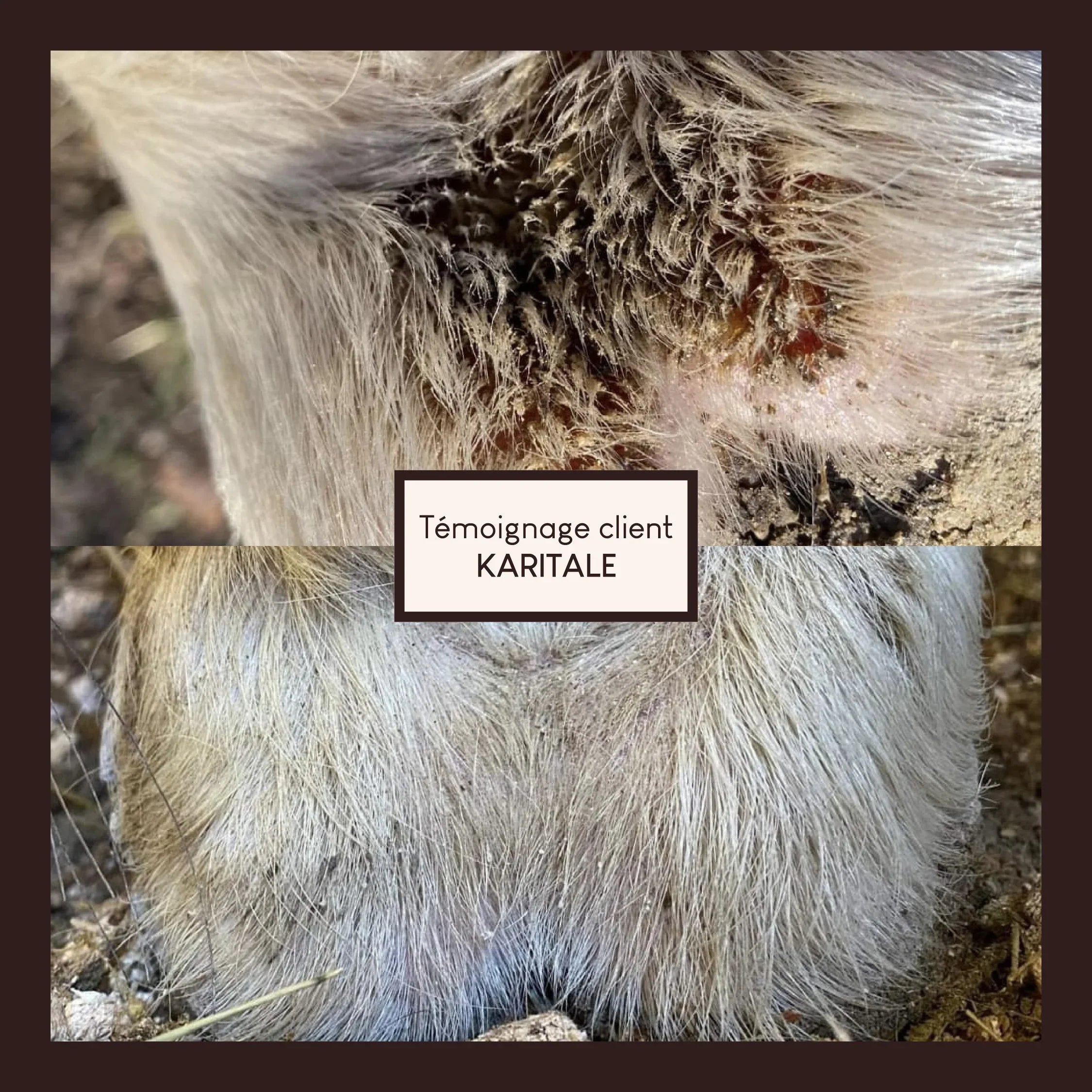 Vaseline végétale au soufre