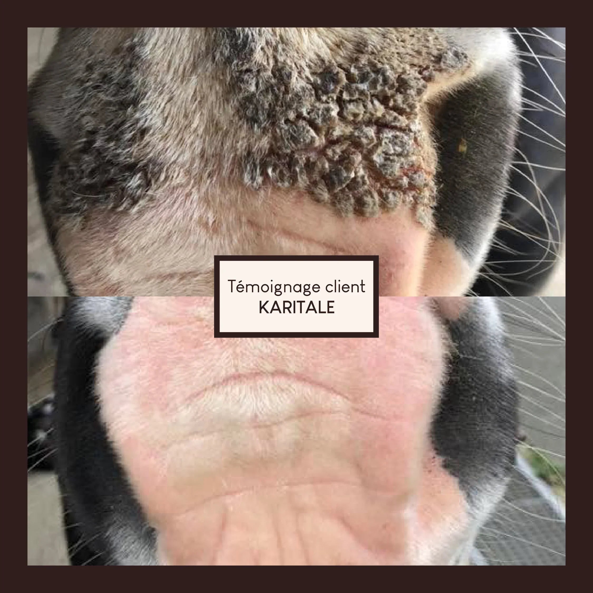 Vaseline végétale au soufre