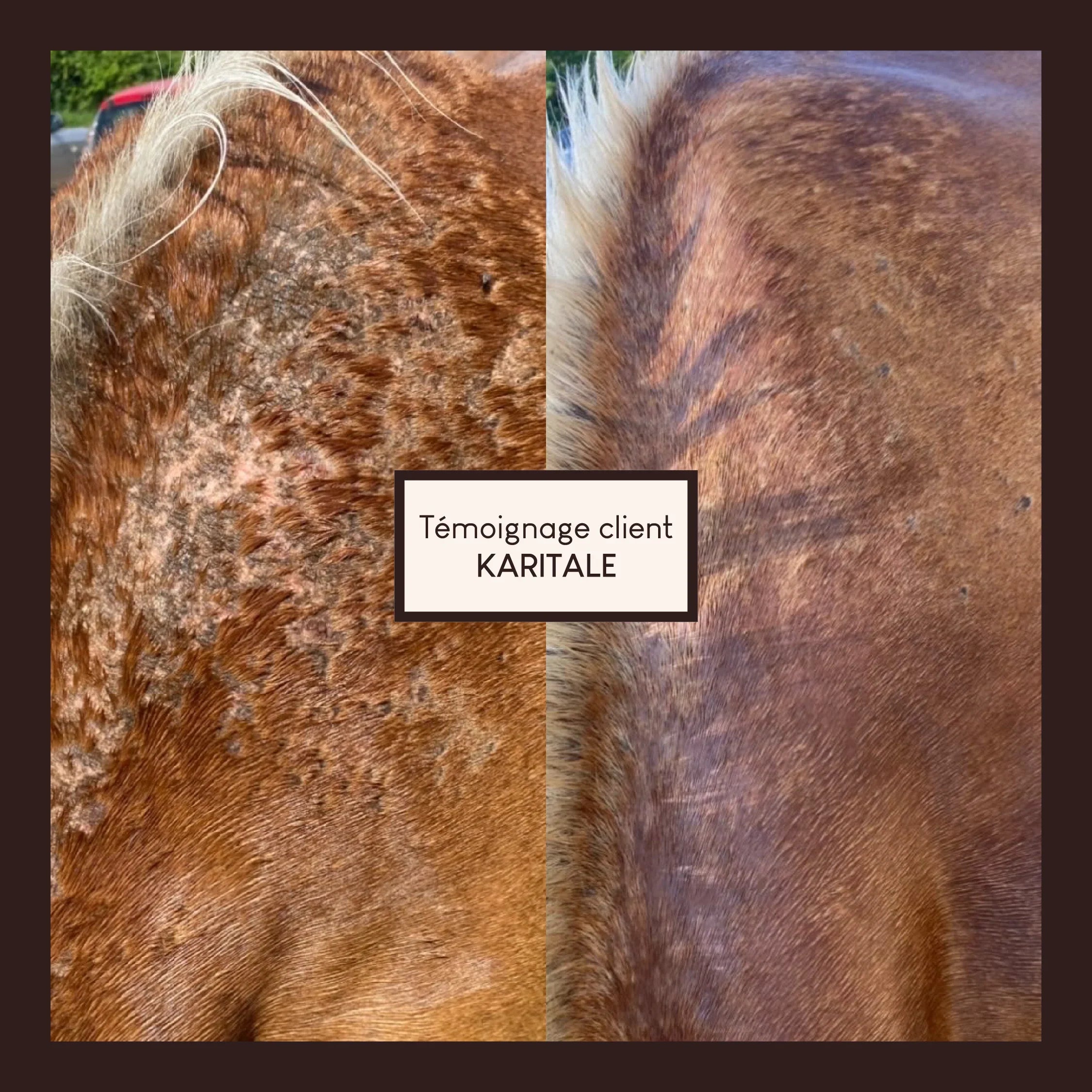 Vaseline végétale au soufre