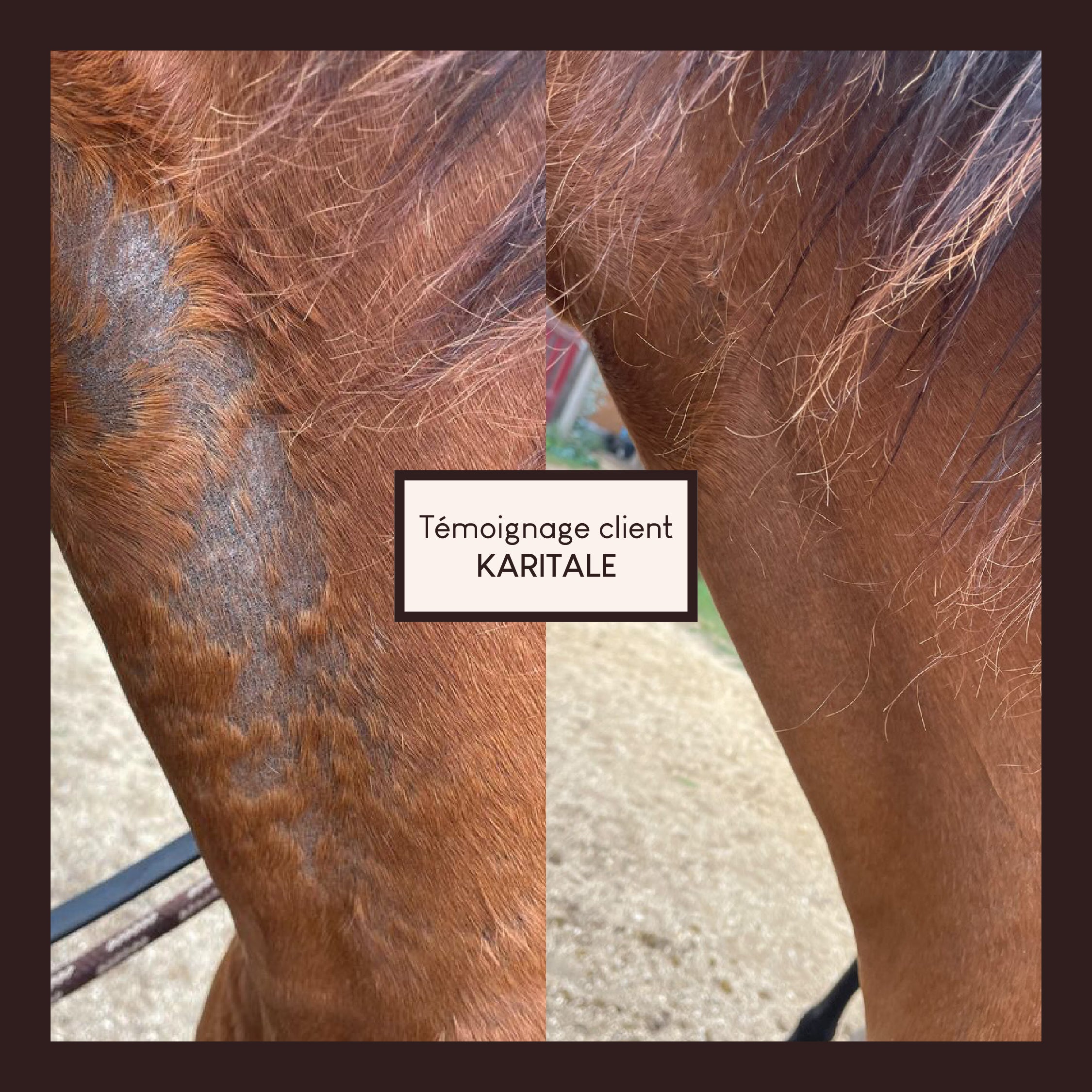 Vaseline végétale au soufre