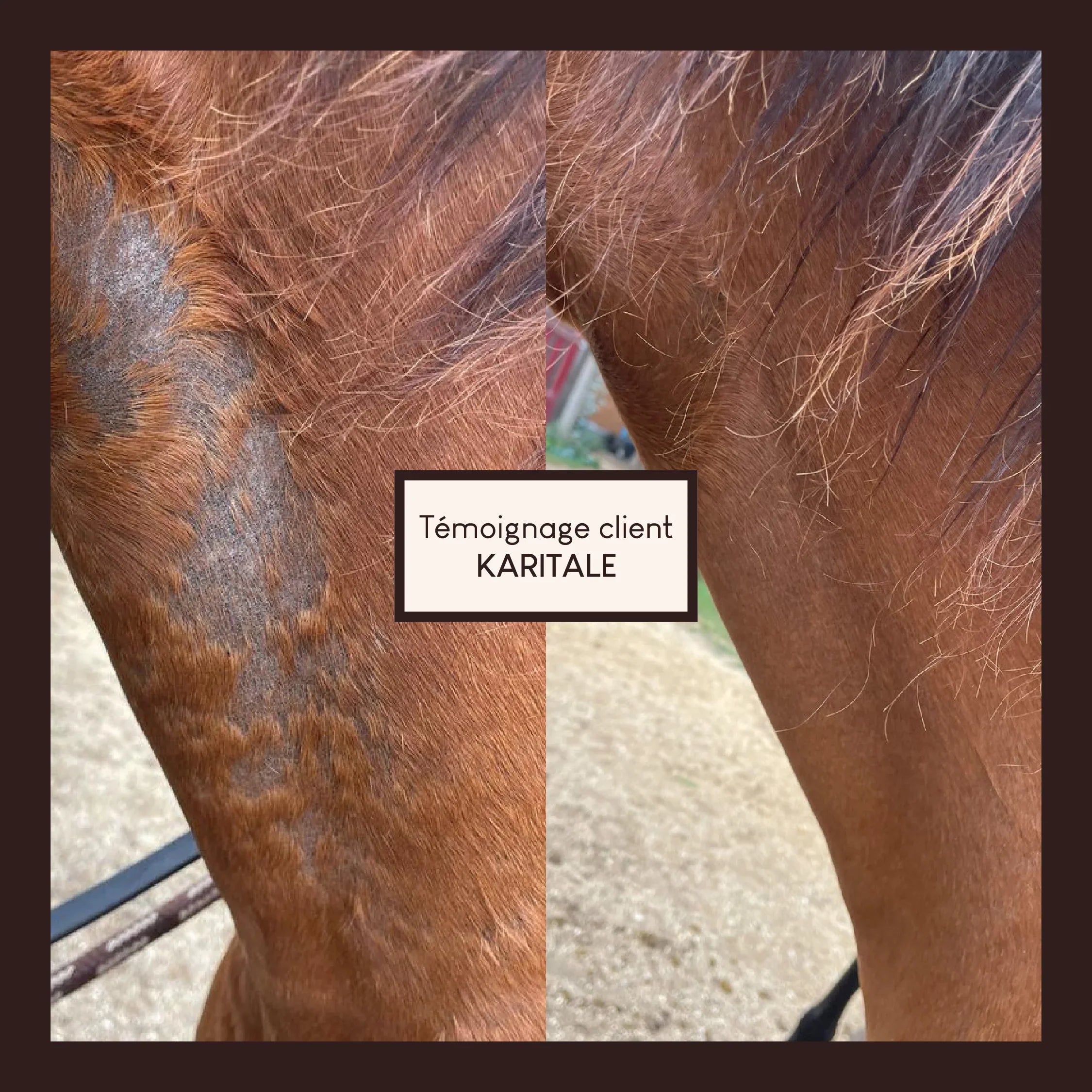 Vaseline végétale au soufre