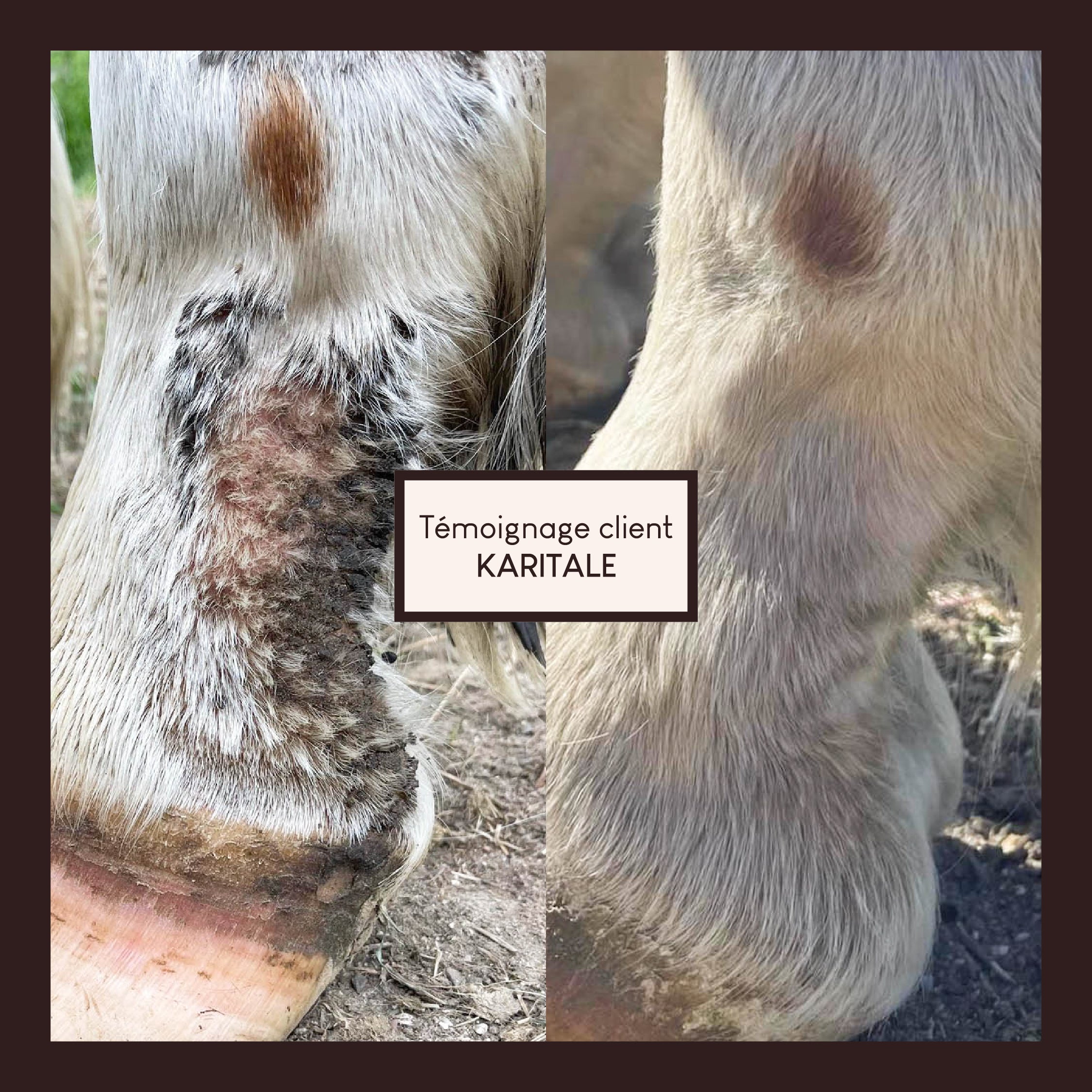 Vaseline végétale au soufre