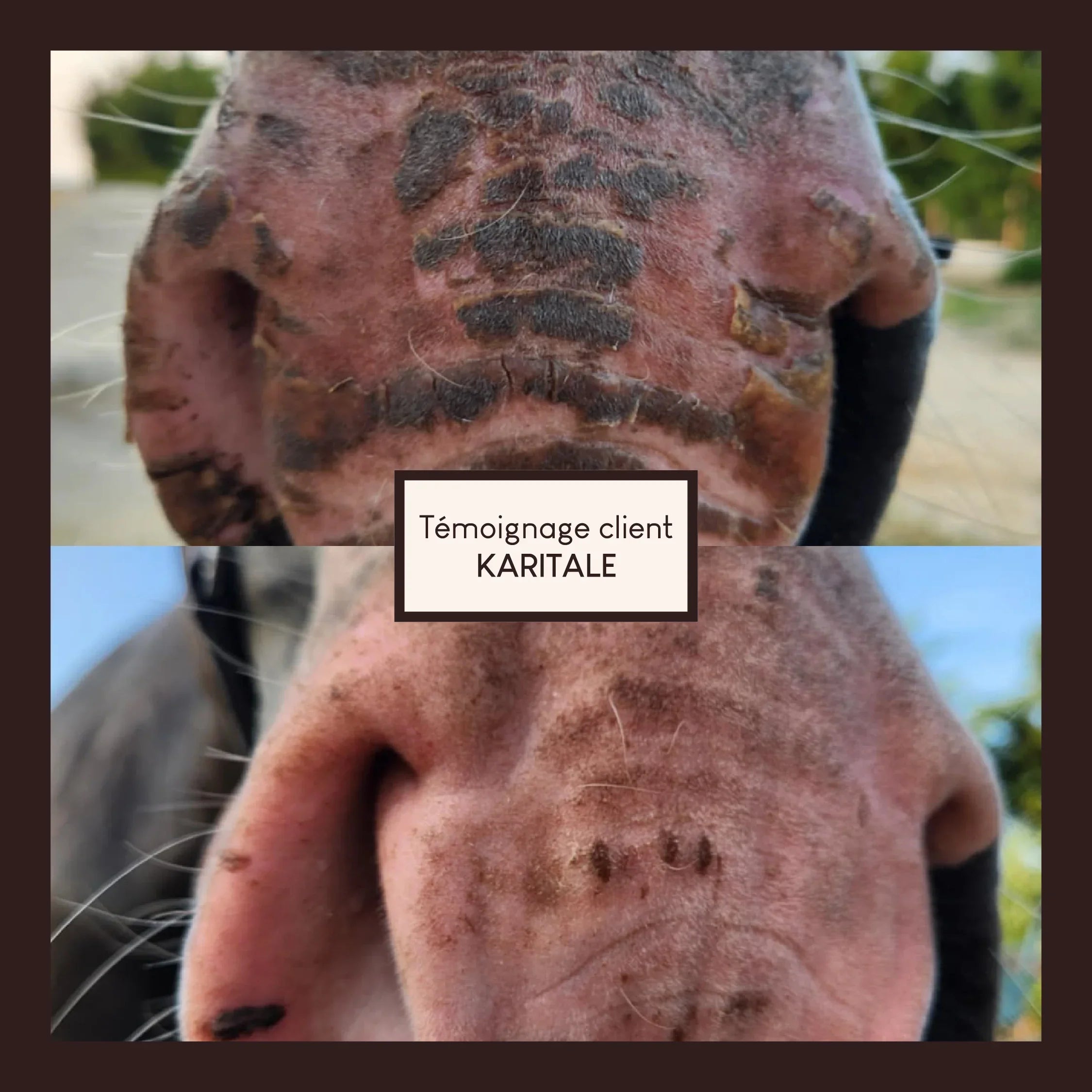 Vaseline végétale au soufre