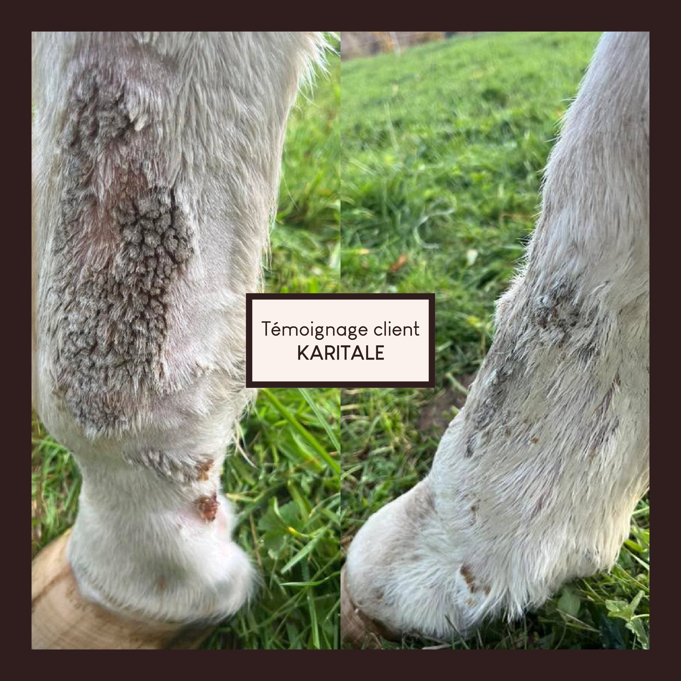 Vaseline végétale au soufre