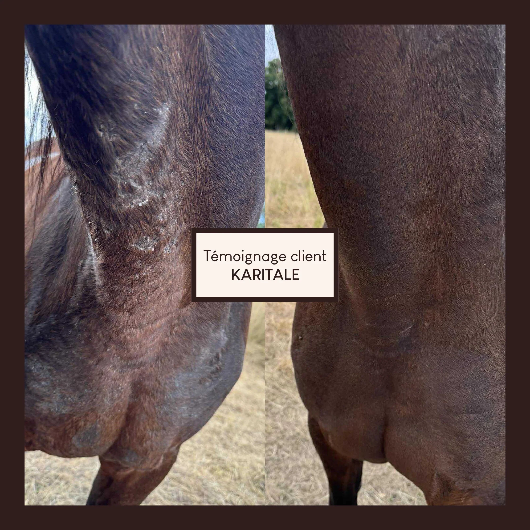 Vaseline végétale au soufre