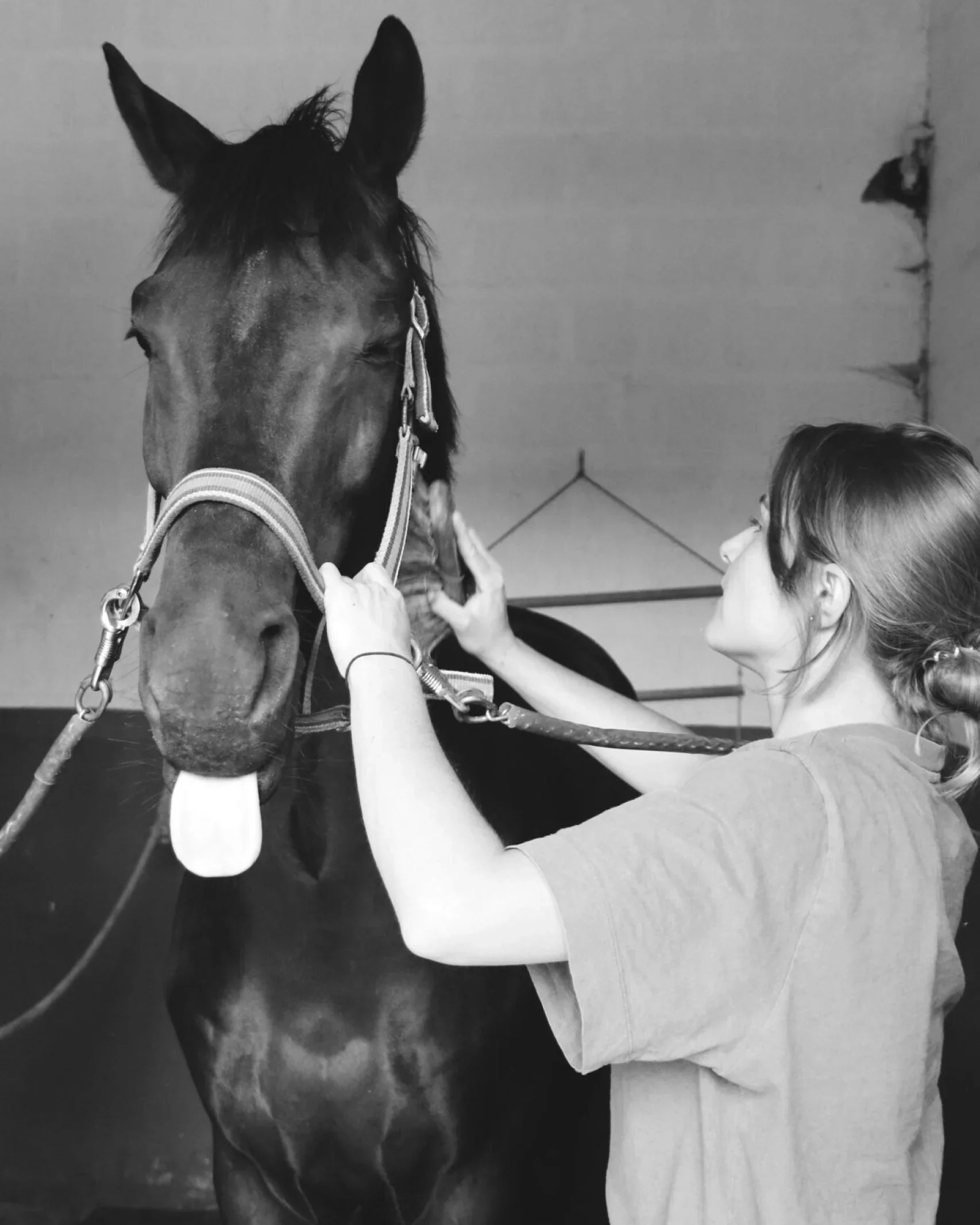 Bien-être du cheval : les 5 règles d’or pour un animal heureux