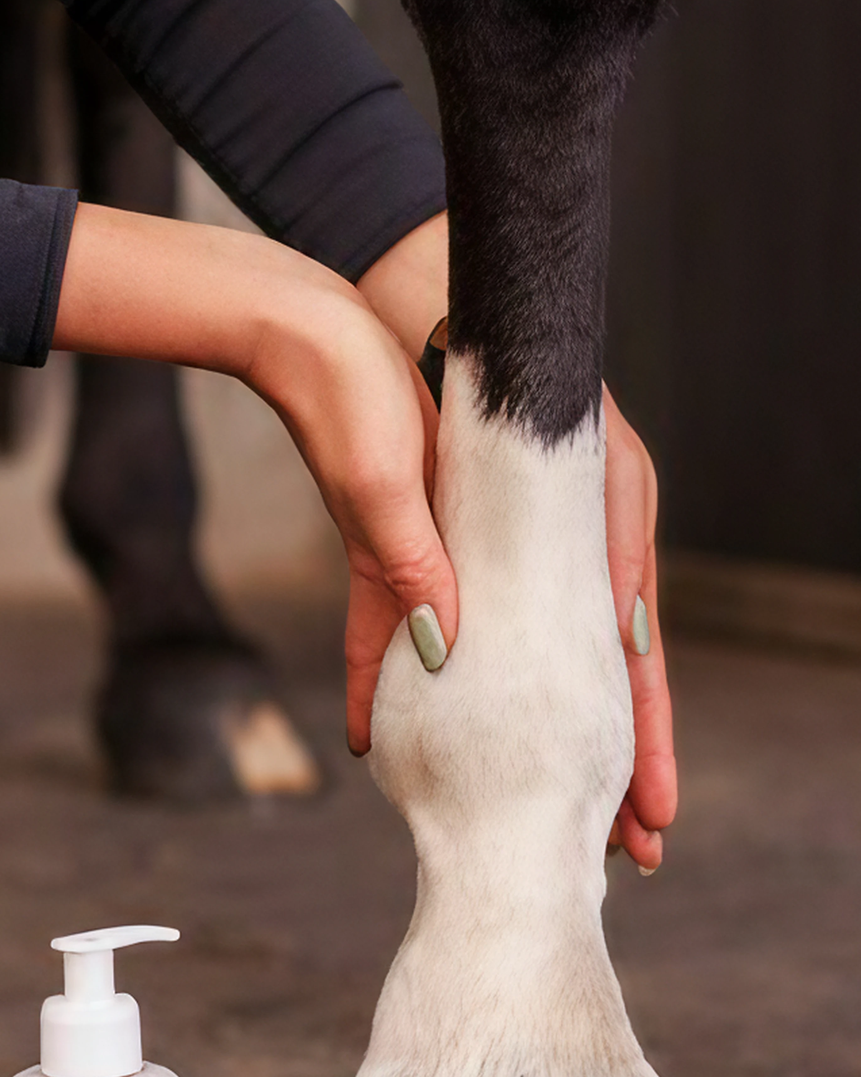 Confort & locomotion