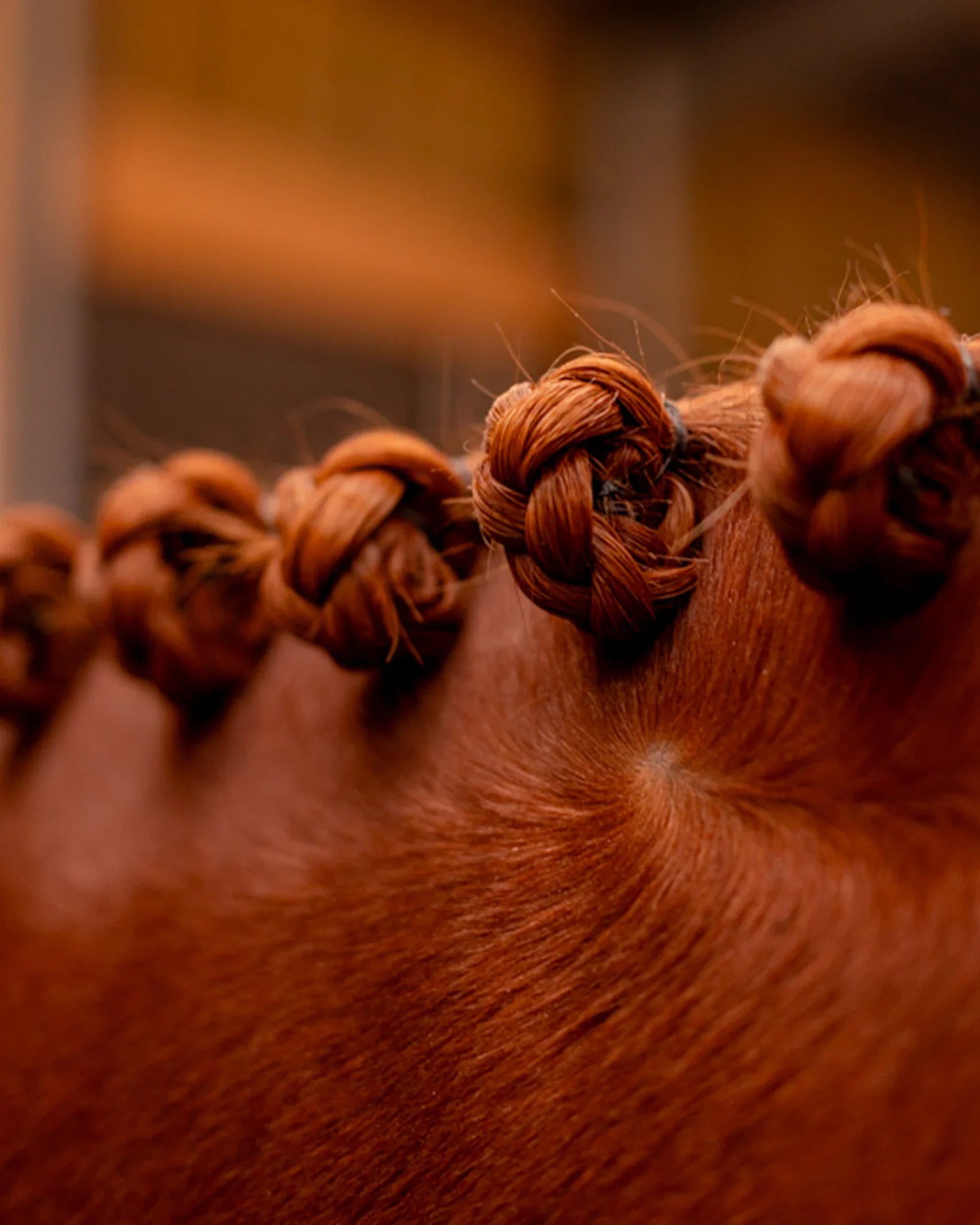Poils & crins
