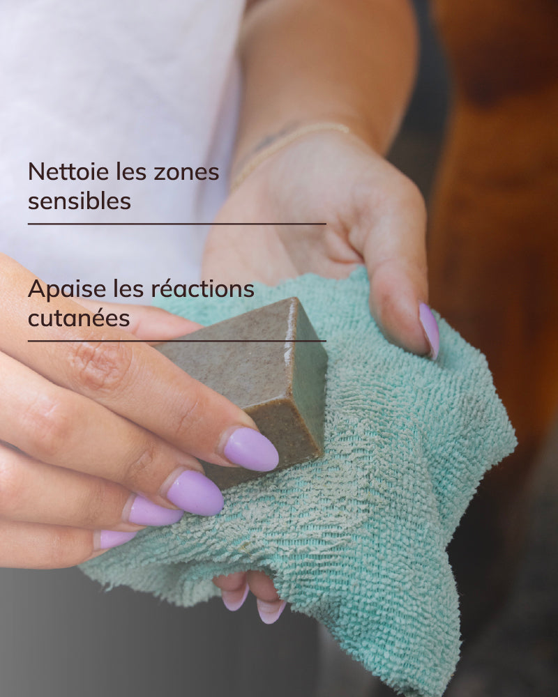 Shampoing traitant cutané