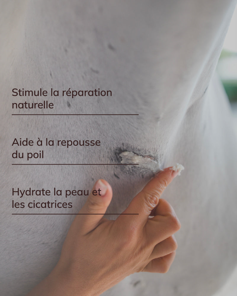 Baume réparateur cutané