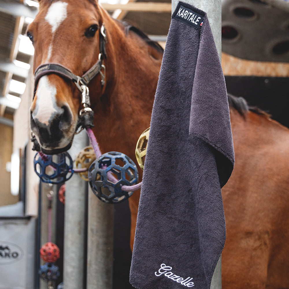 Serviette Magnétique