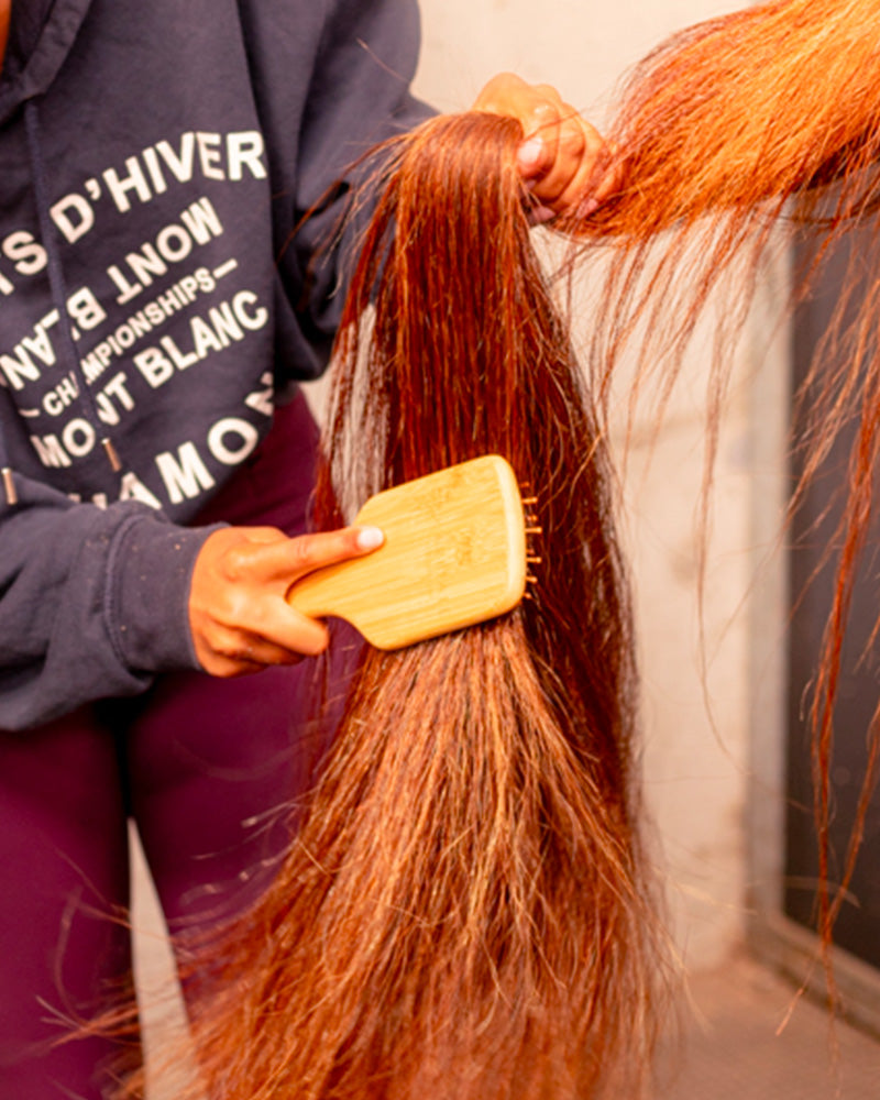 Brosse pour crins
