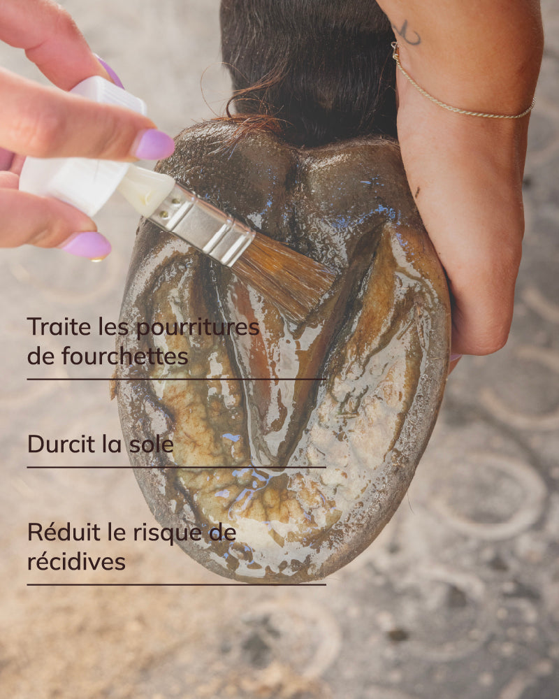 Soin sole et fourchette