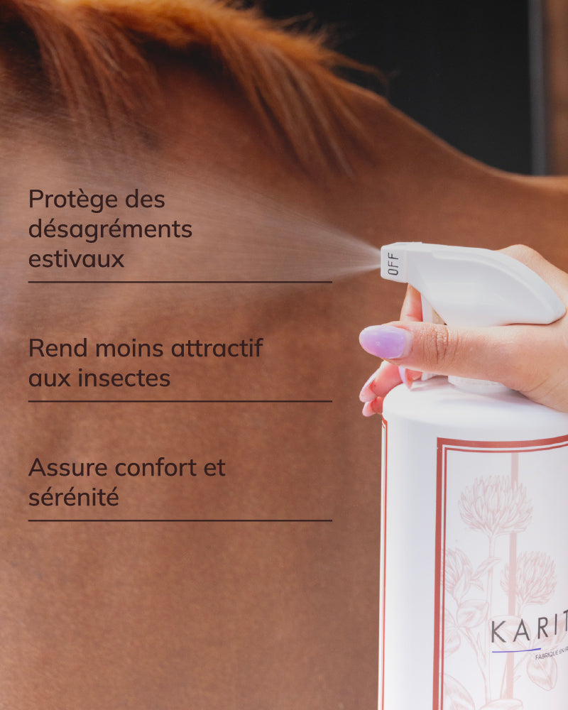 Spray protecteur estival
