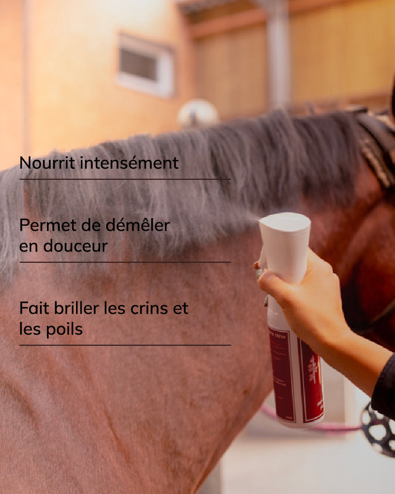 Soins démêlant pour crins
