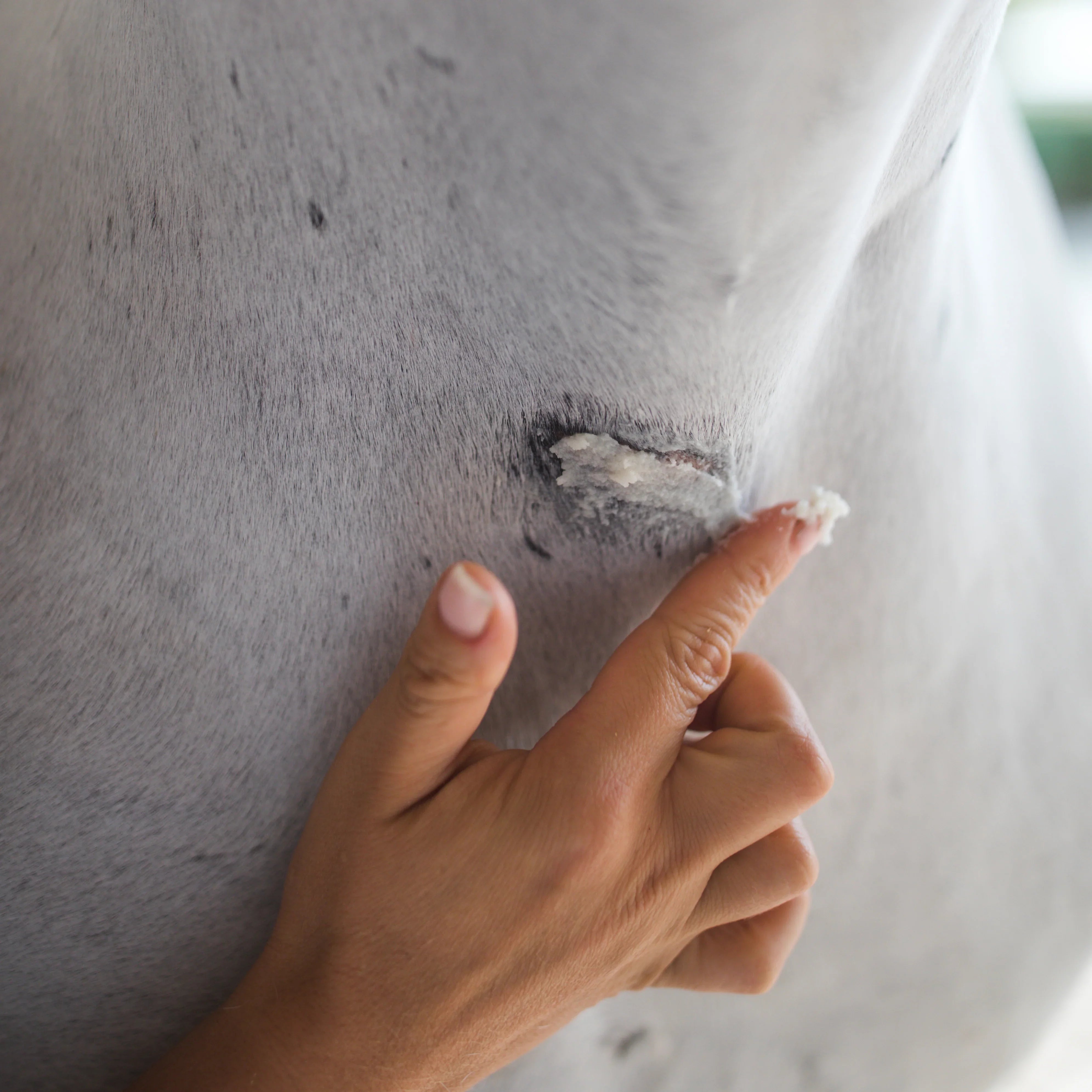 Baume réparateur cutané