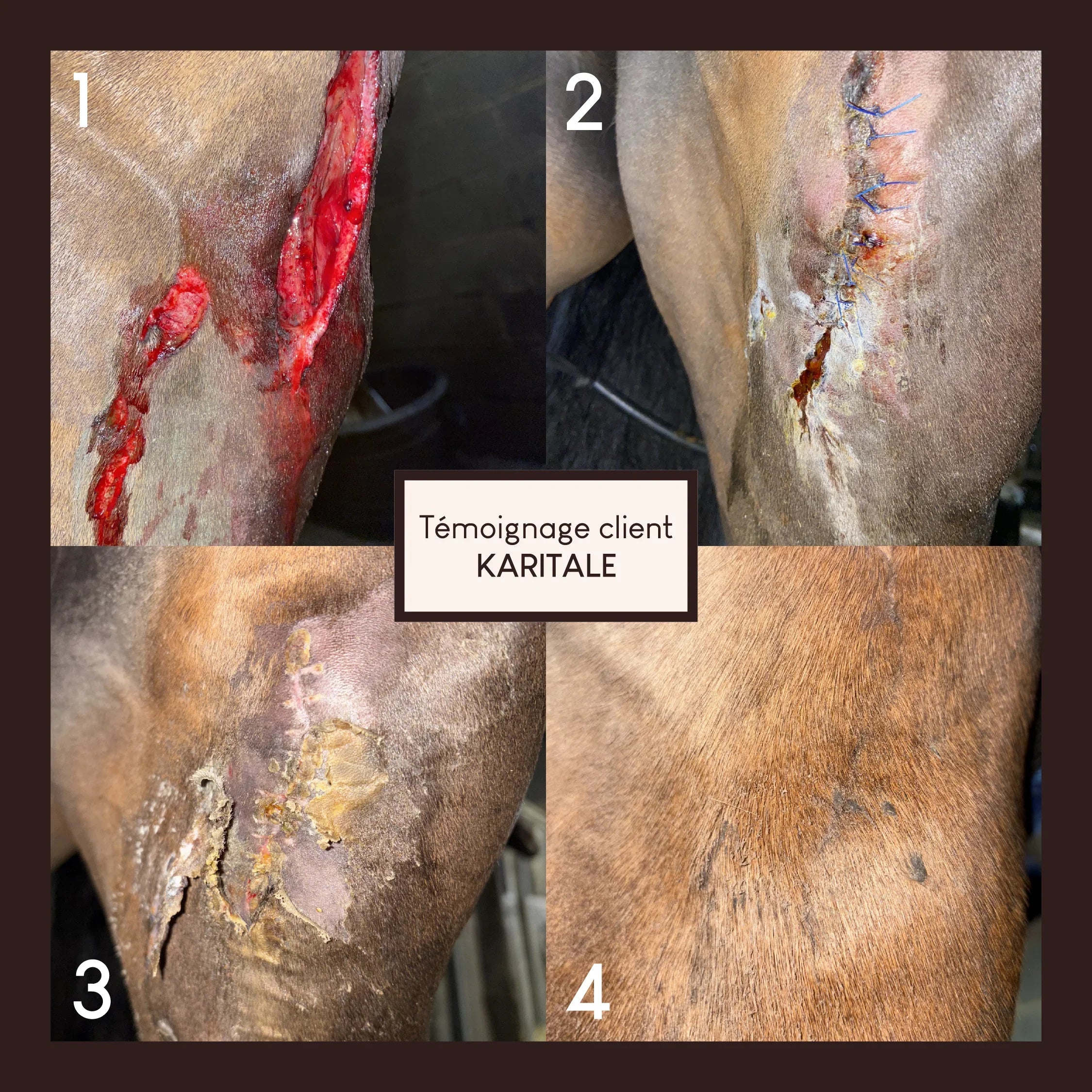 Baume réparateur cutané