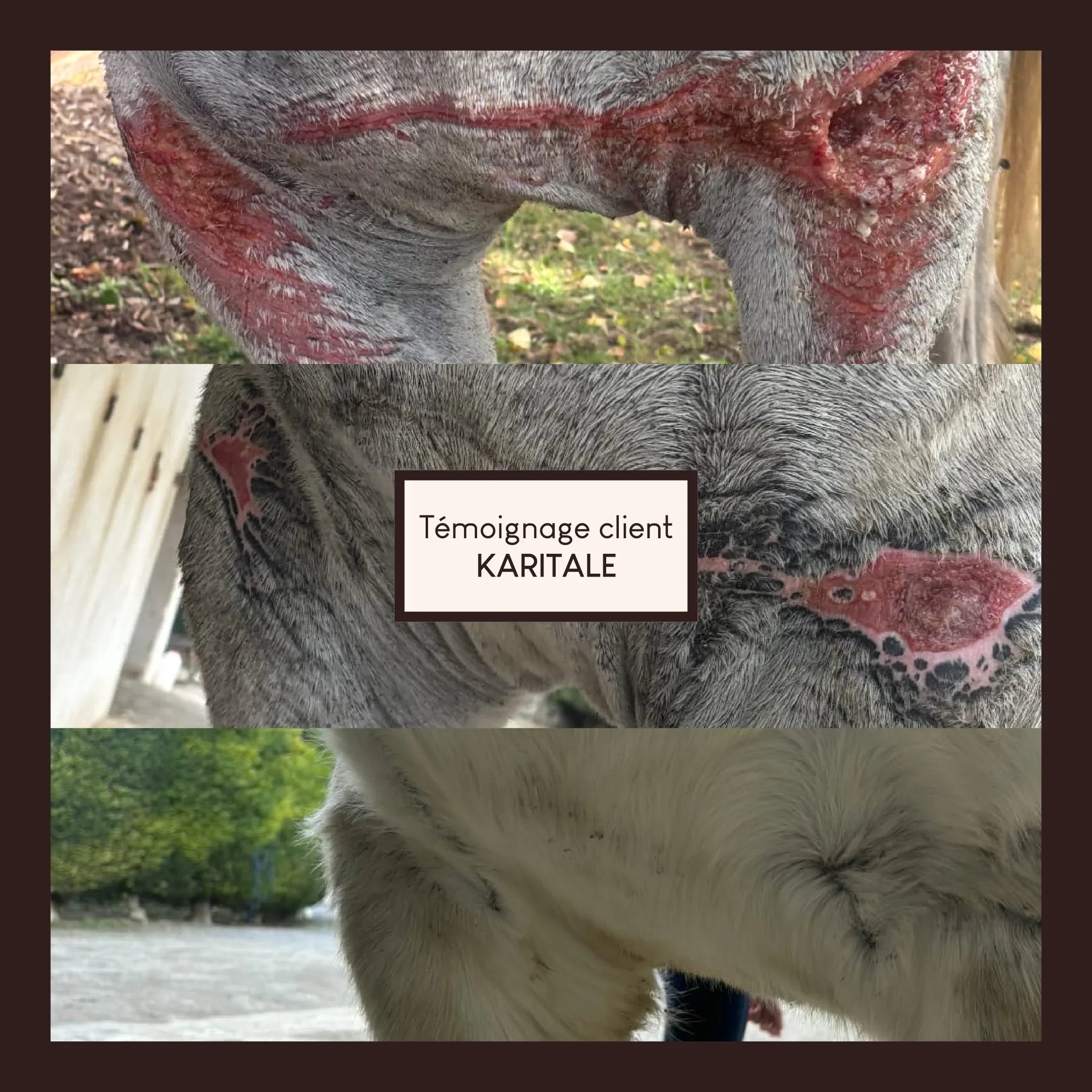 Baume réparateur cutané