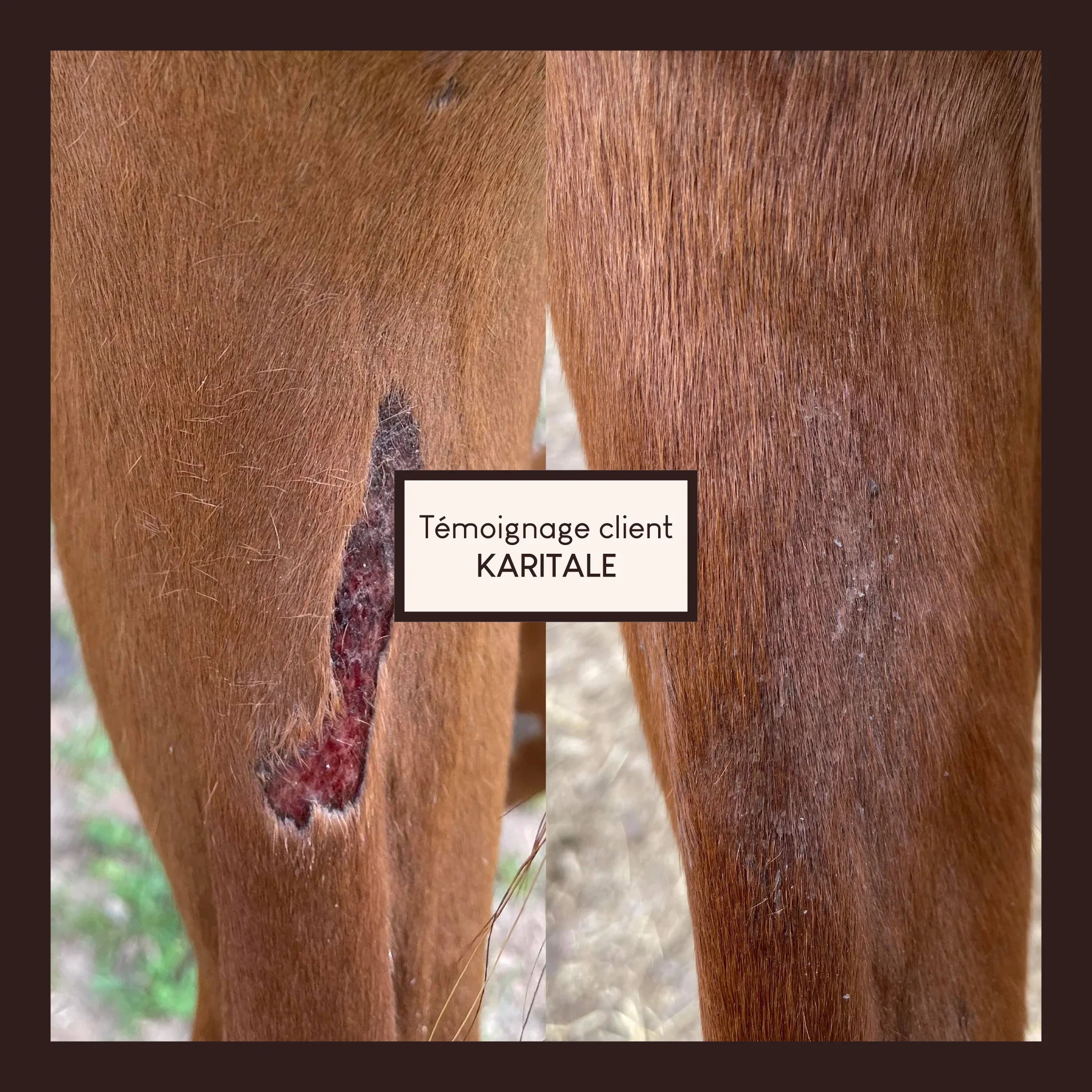 Baume réparateur cutané