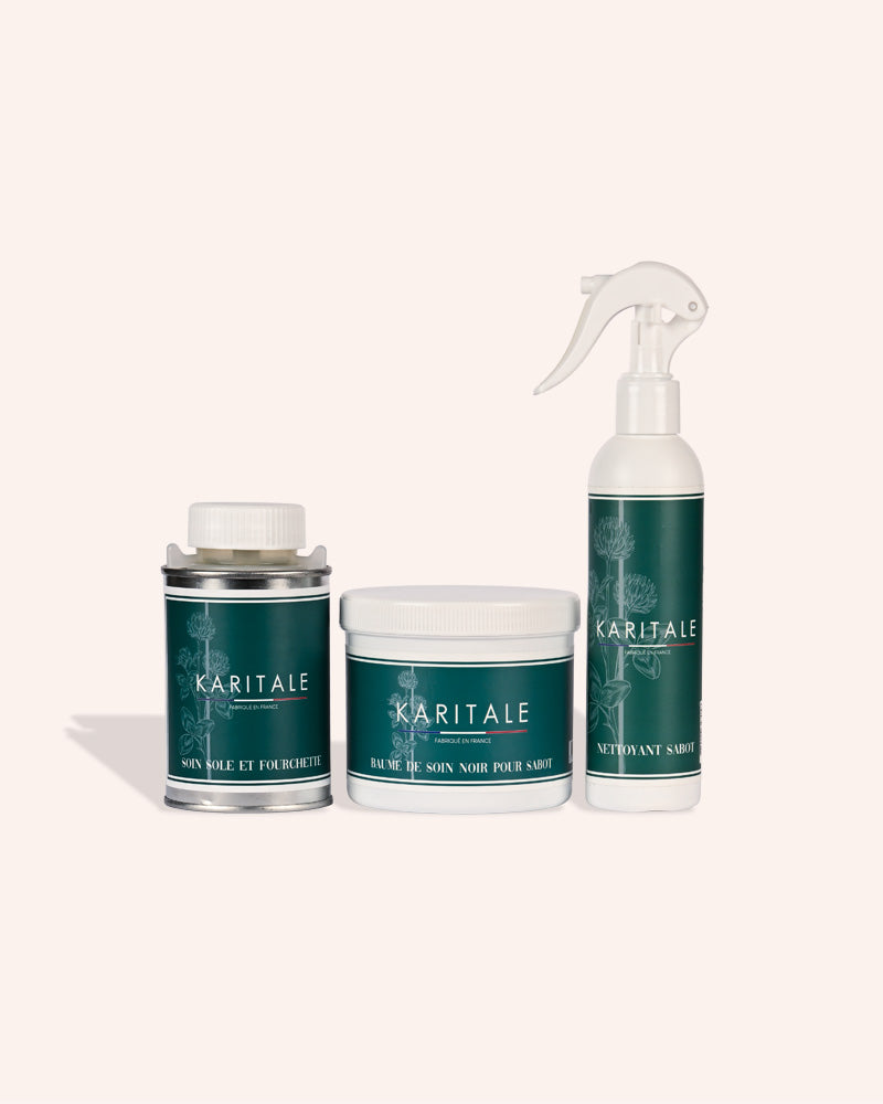 Routine sabot hiver