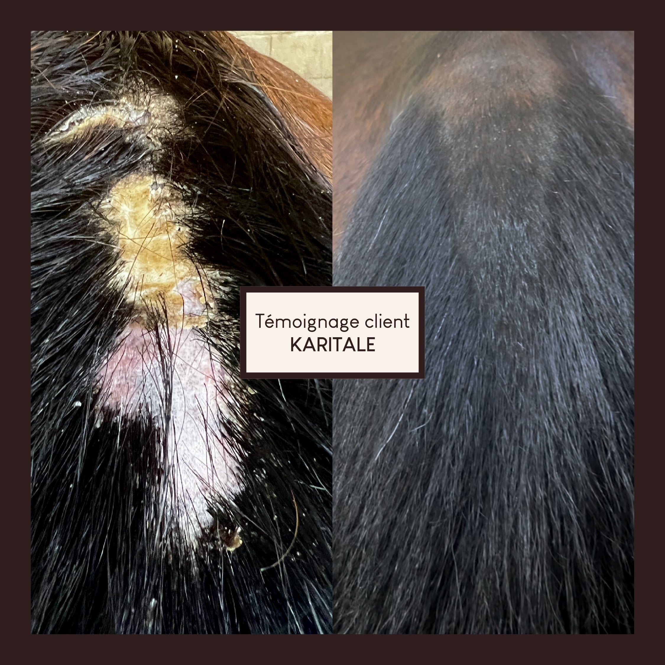 Vaseline végétale au soufre