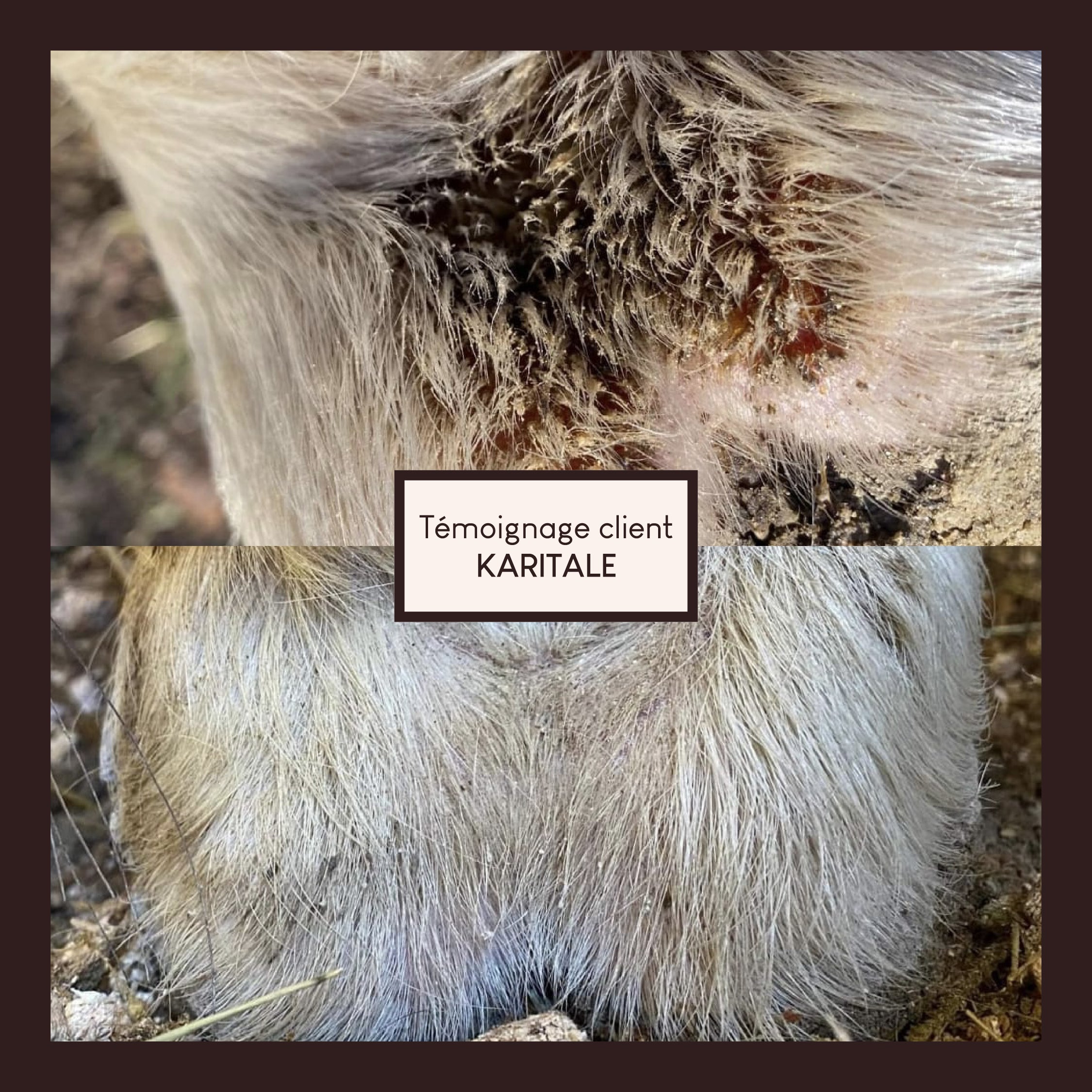 Vaseline végétale au soufre