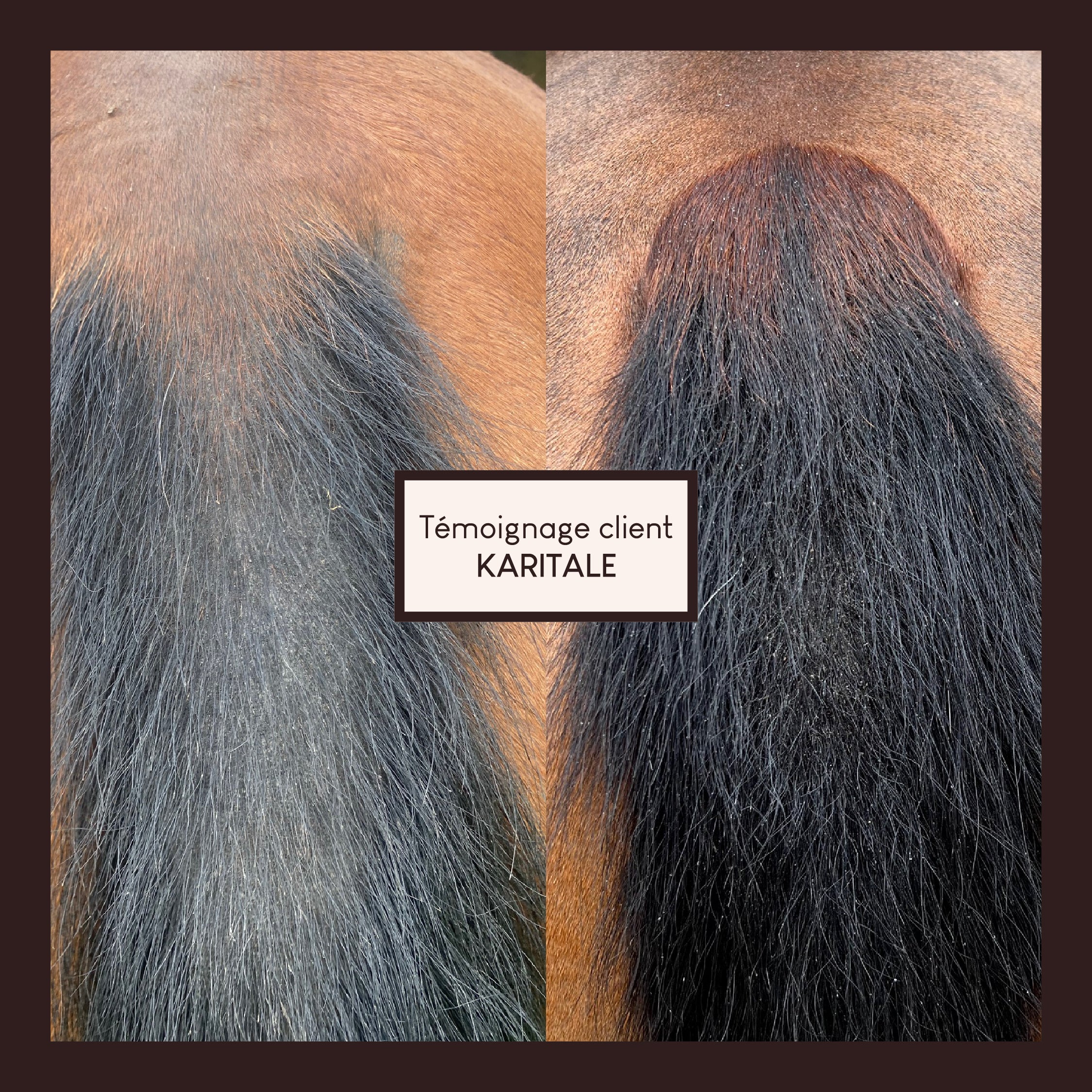 Vaseline végétale au soufre