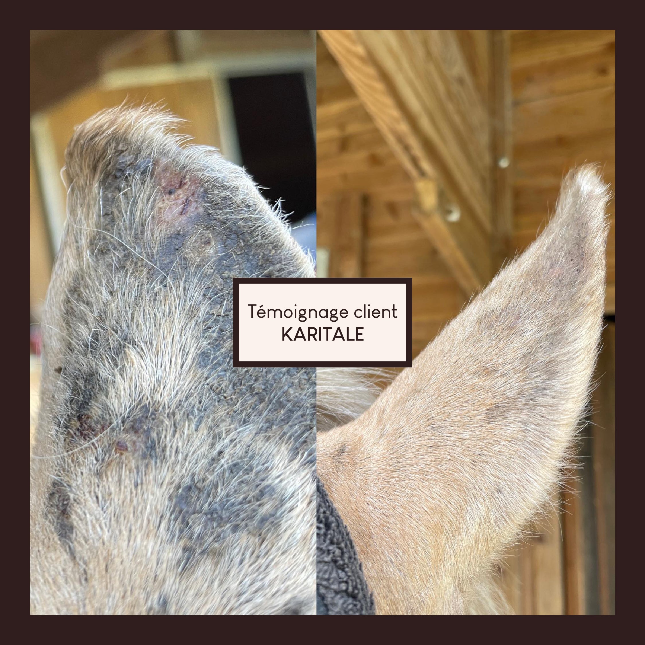 Vaseline végétale au soufre