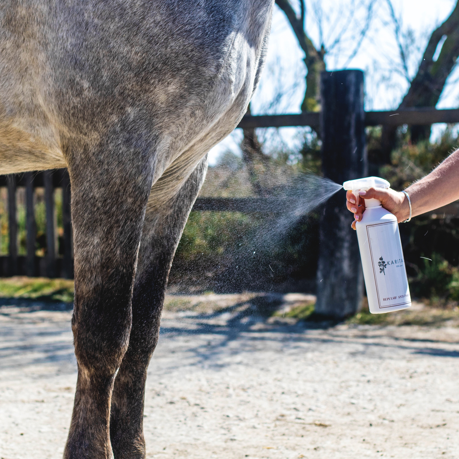 Shampooing Anti-Insectes