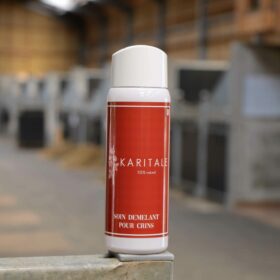 Recharge - Soin démêlant pour crins